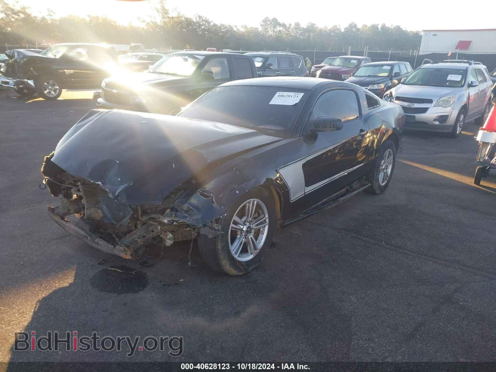 2014 FORD MUSTANG - VIN: 1ZVBP8AMXE5334337 - Фото 2