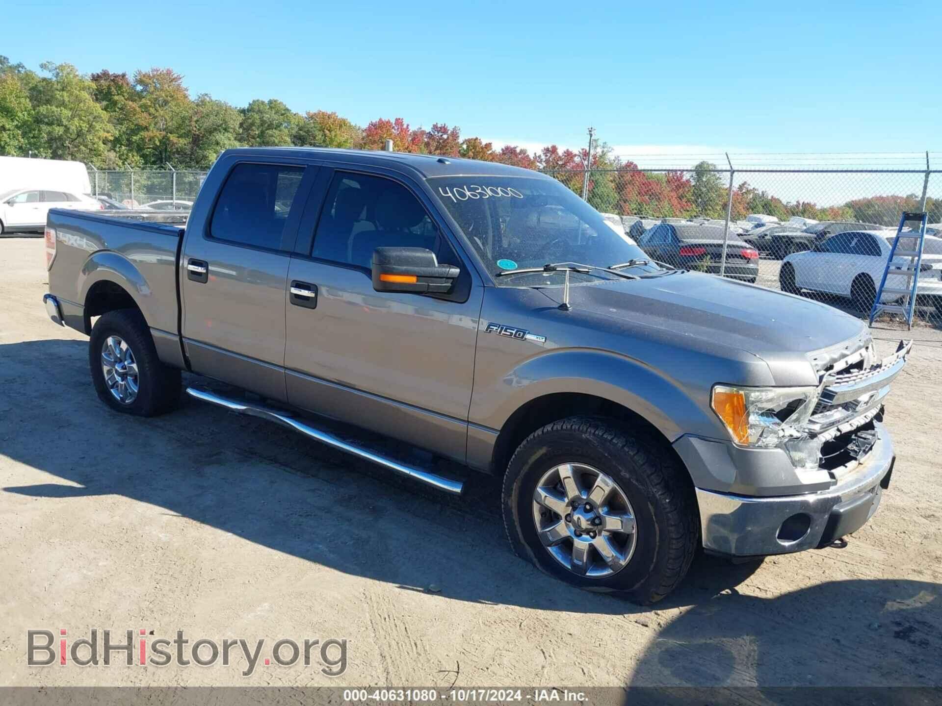 Фотография 1FTFW1EF3DFD66050 - FORD F-150 2013