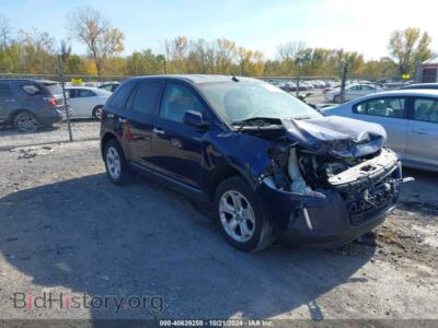 2011 Ford EDGE SEL, blue — VIN 2FMDK3JCXBBB10007, IAAI