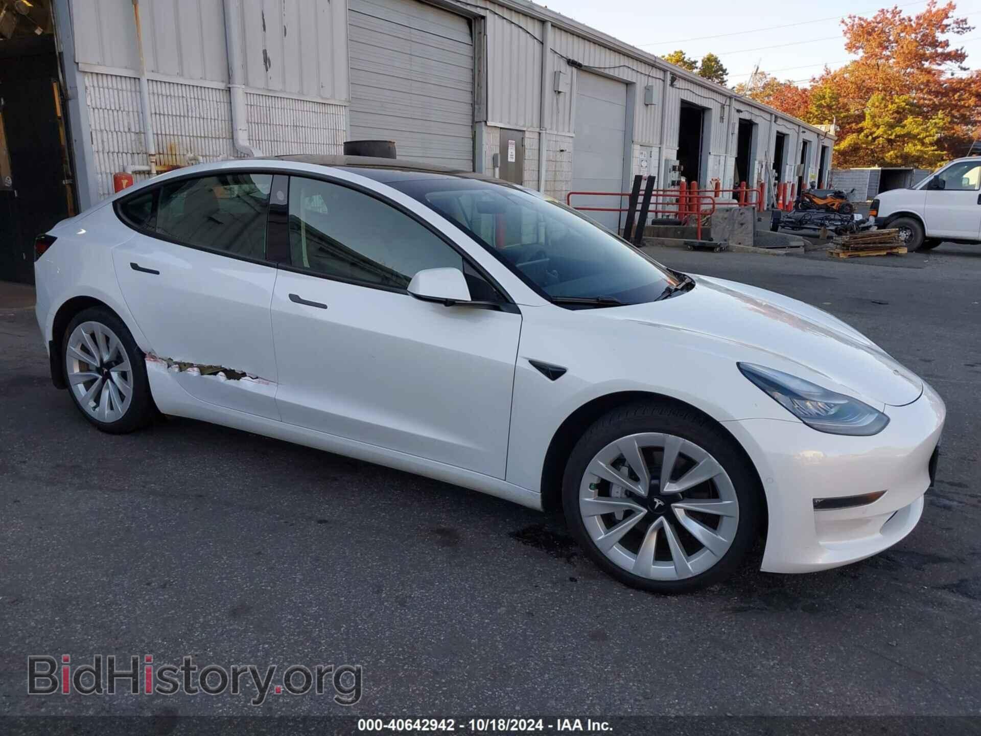 Photo 5YJ3E1EBXMF855729 - TESLA MODEL 3 2021