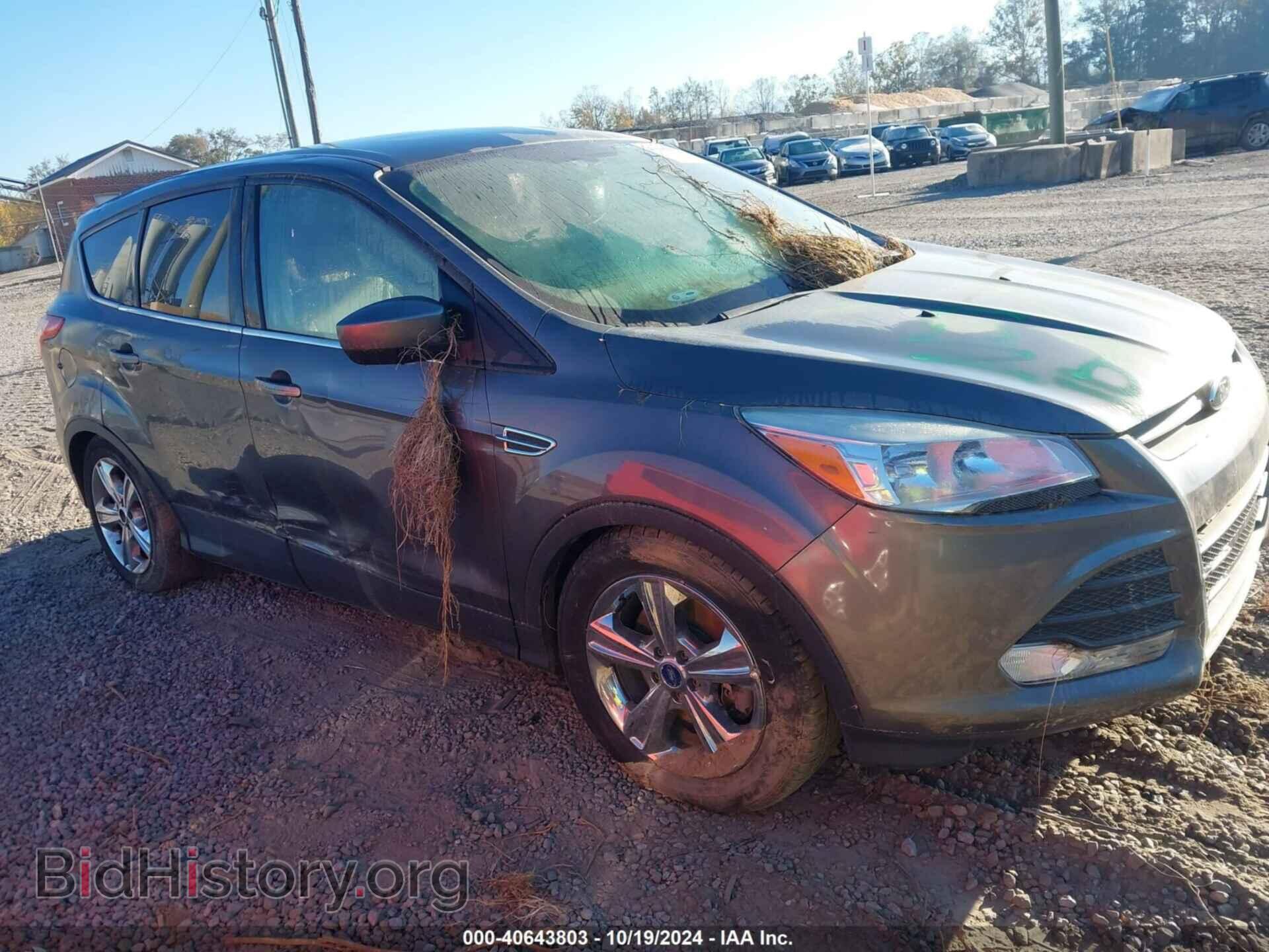 Фотография 1FMCU0G99DUC26585 - FORD ESCAPE 2013