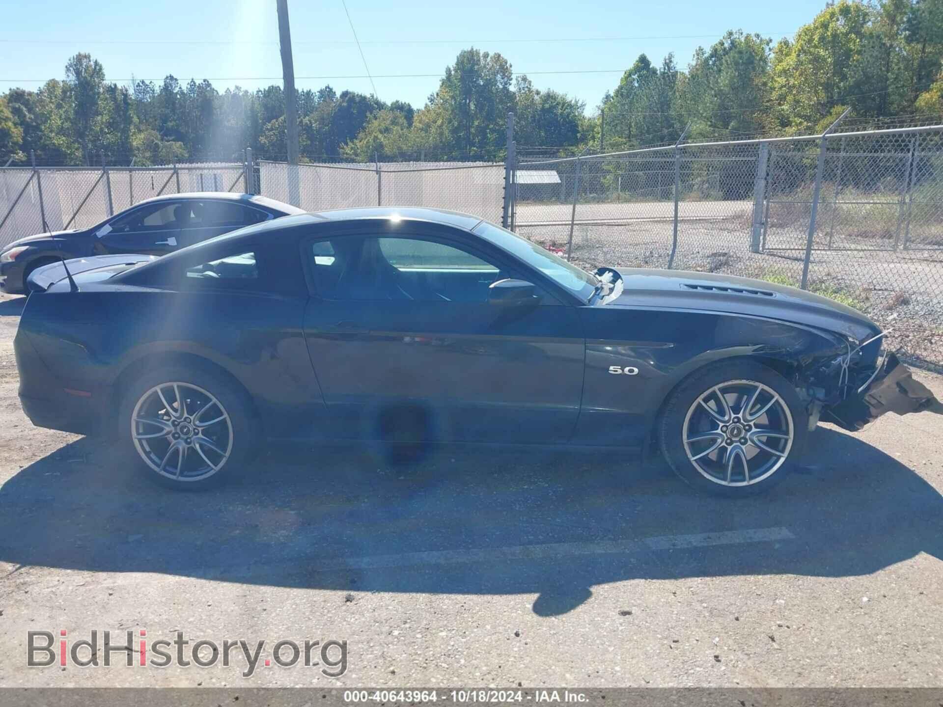2014 FORD MUSTANG - VIN: 1ZVBP8CF2E5206902 - Фото 13