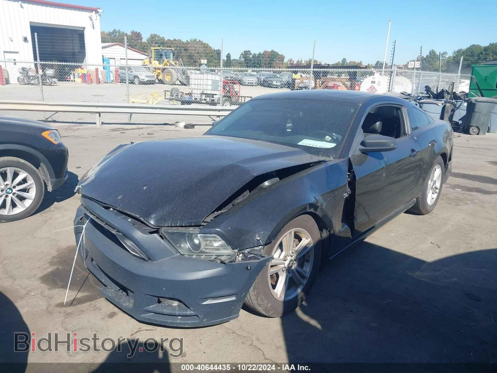 2014 FORD MUSTANG - VIN: 1ZVBP8AM8E5273019 - Фото 2