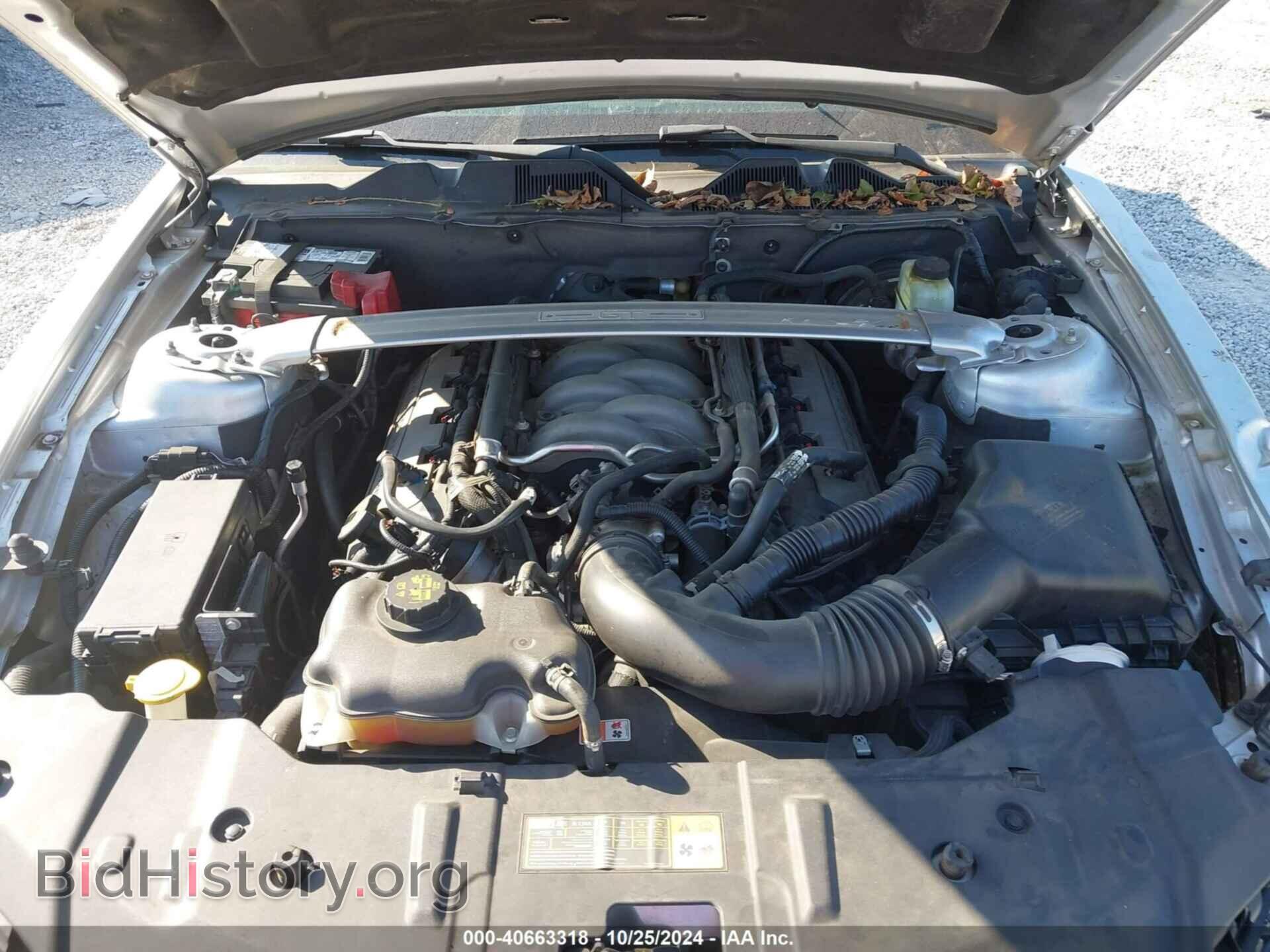 2014 FORD MUSTANG - VIN: 1ZVBP8CF3E5290034 - Фото 10
