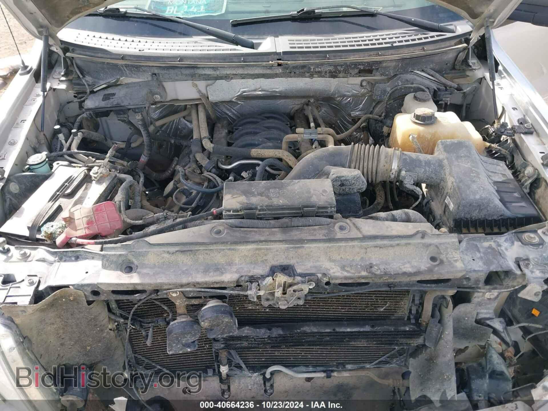 2012 FORD F-150 - VIN: 1FTFX1EF9CFB02827 - Фото 10