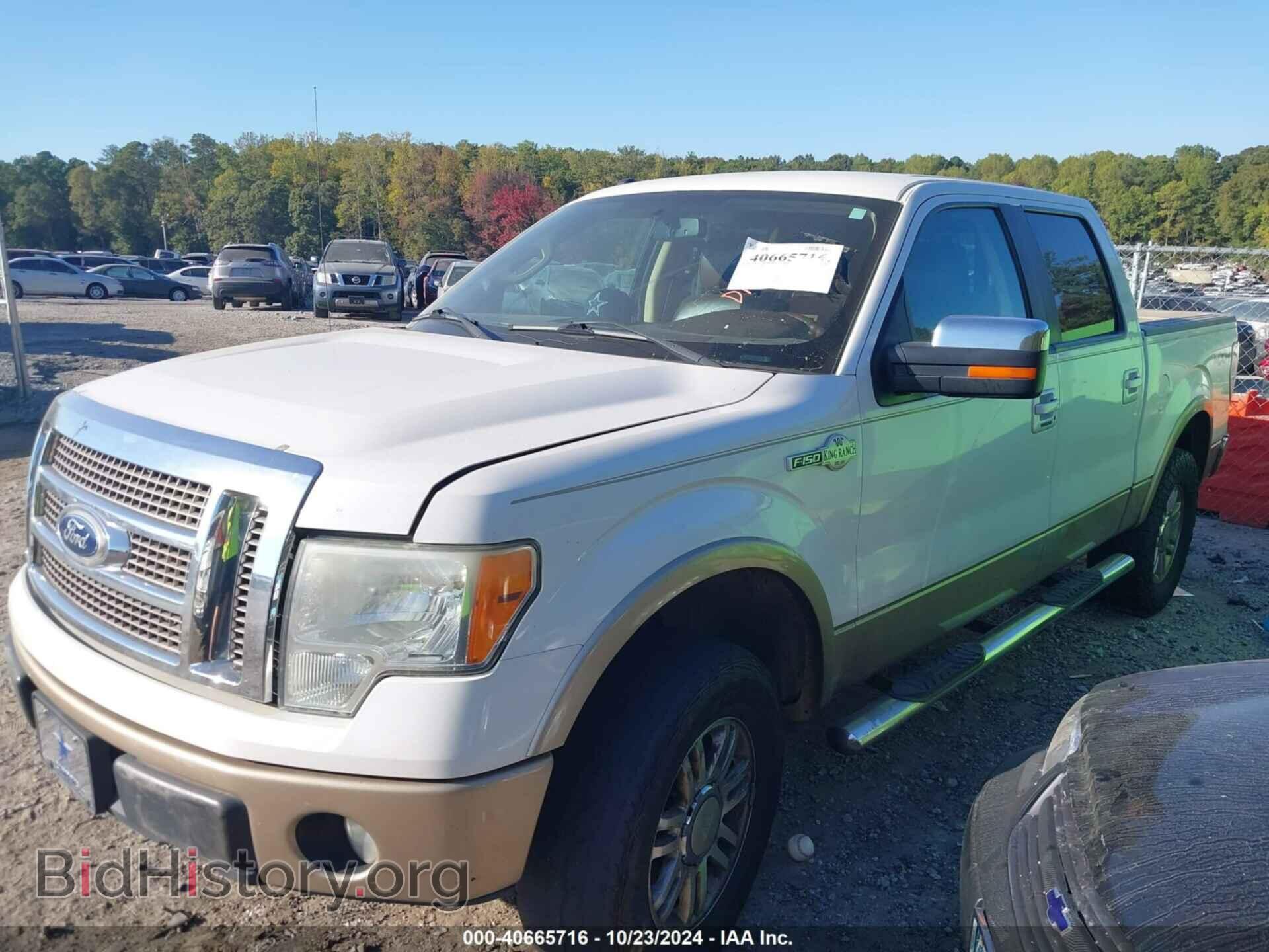 2011 FORD F-150 - VIN: 1FTFW1EF1BKD17191 - Фото 2