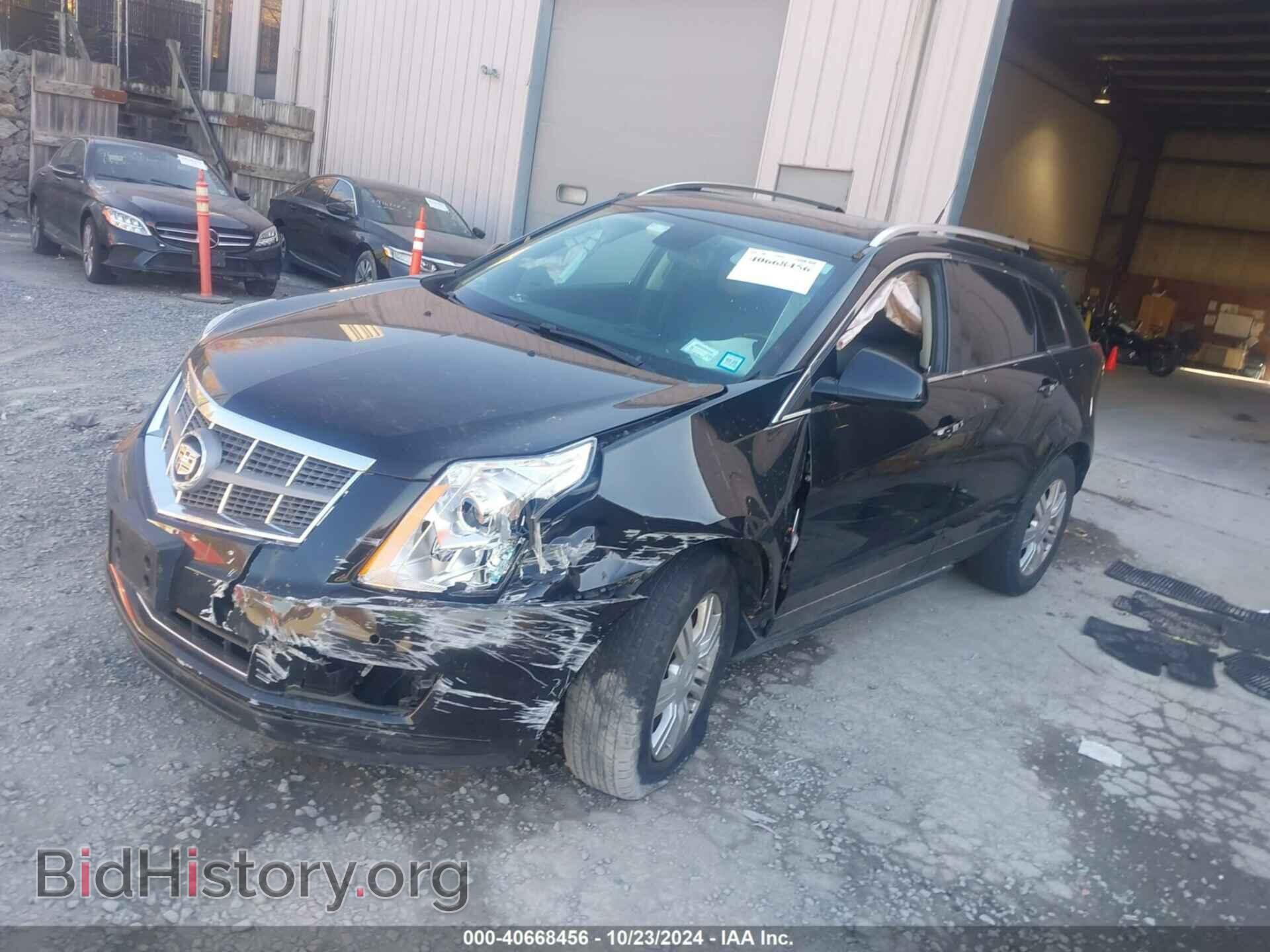 2011 CADILLAC SRX - VIN: 3GYFNDEY4BS543293 - Фото 2