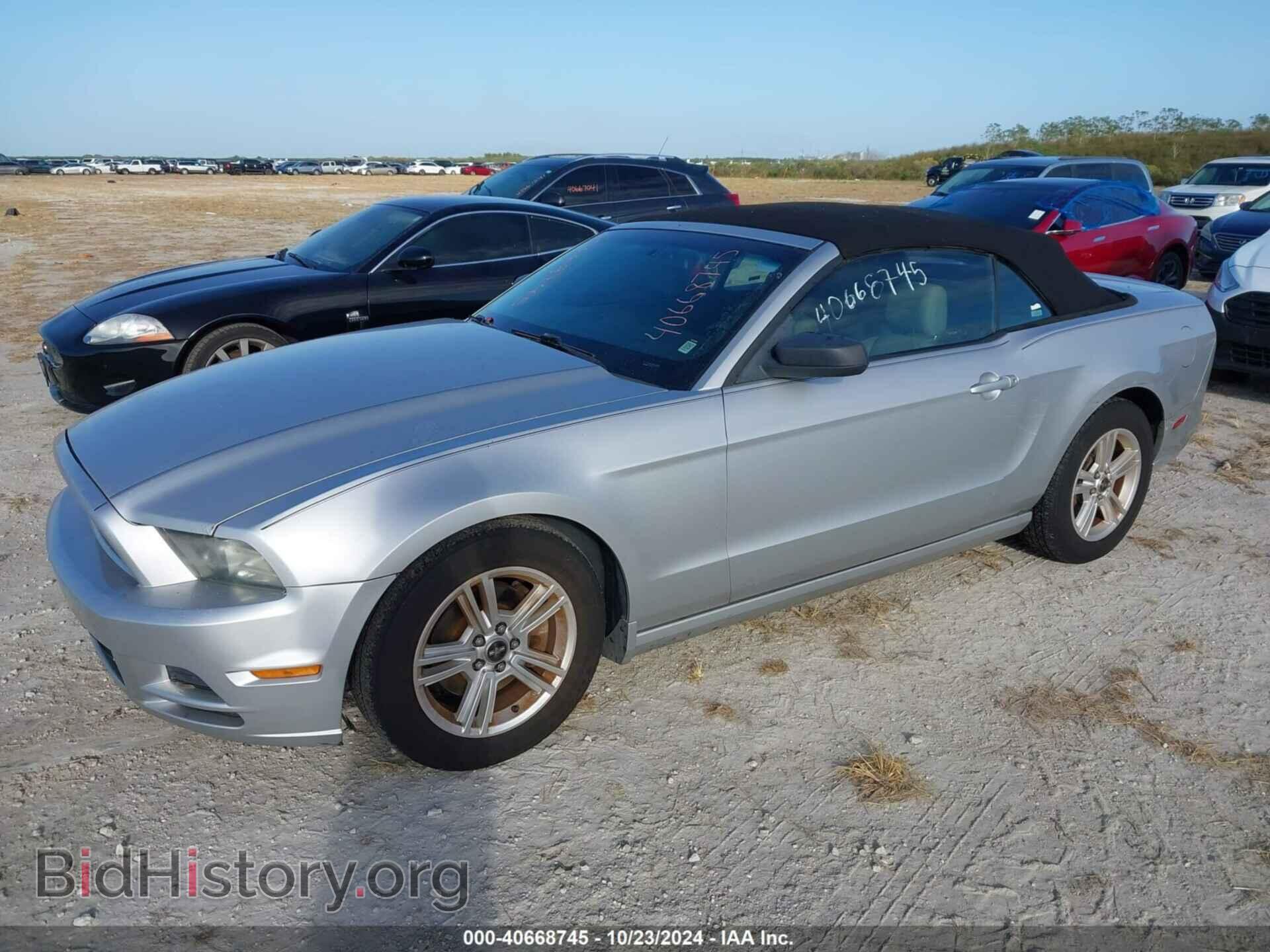 2013 FORD MUSTANG - VIN: 1ZVBP8EM6D5237273 - Фото 2