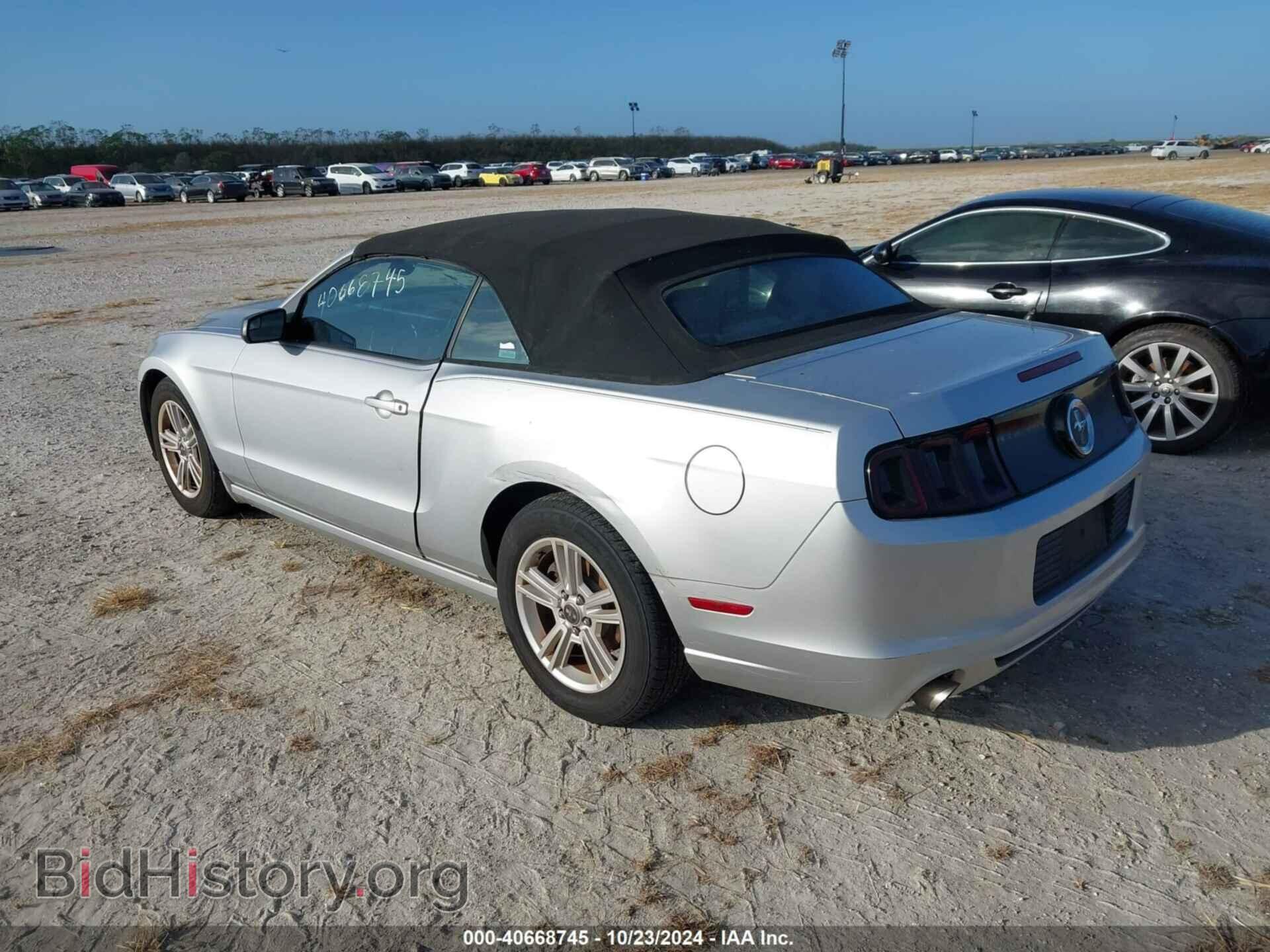 2013 FORD MUSTANG - VIN: 1ZVBP8EM6D5237273 - Фото 3