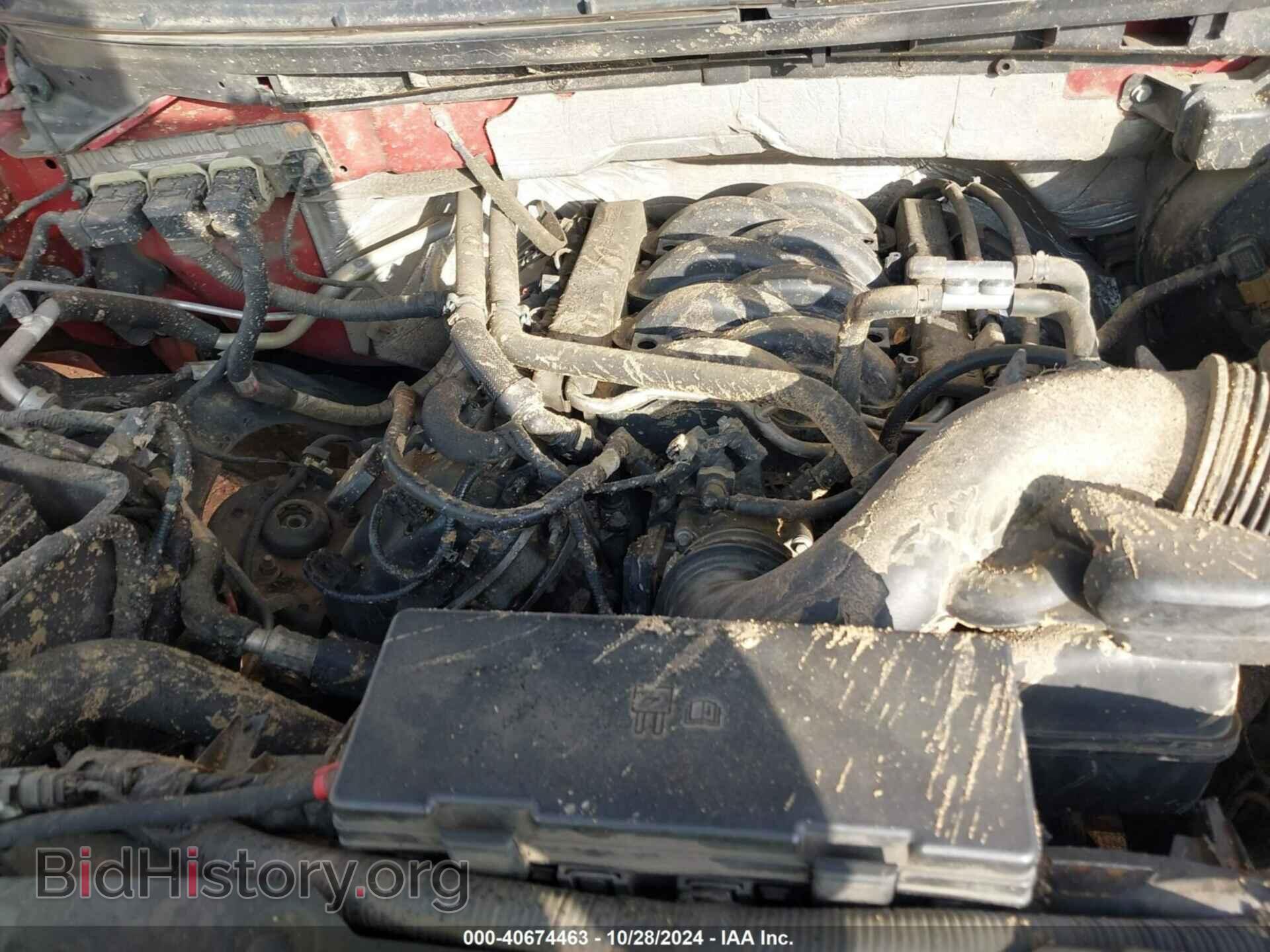 2013 FORD F-150 - VIN: 1FTFW1EF1DFA85512 - Фото 10