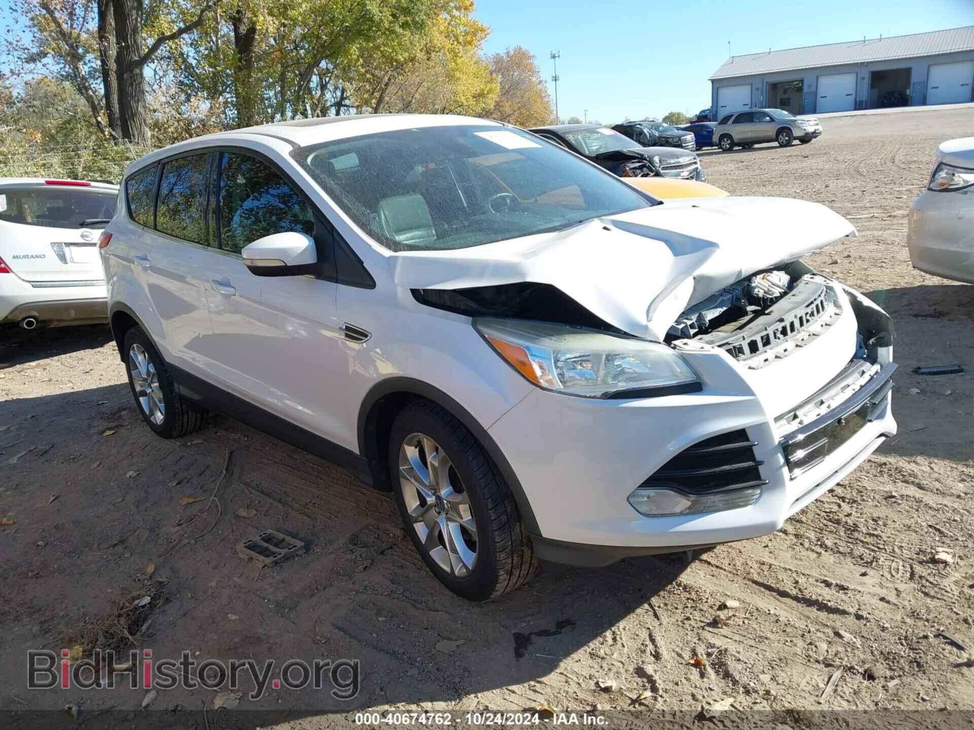 Фотография 1FMCU0HX7DUB54685 - FORD ESCAPE 2013