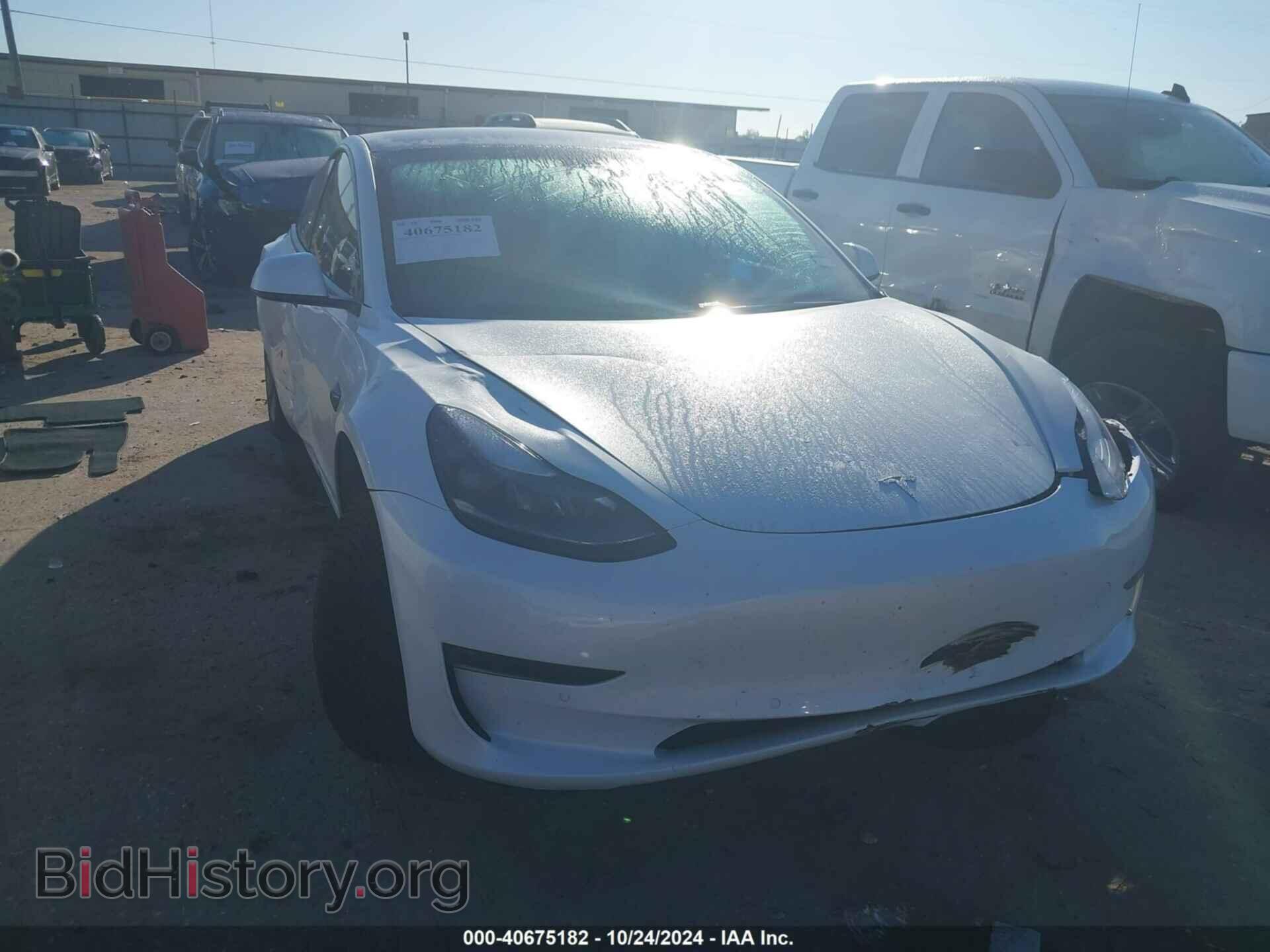 Photo 5YJ3E1EB6MF055607 - TESLA MODEL 3 2021