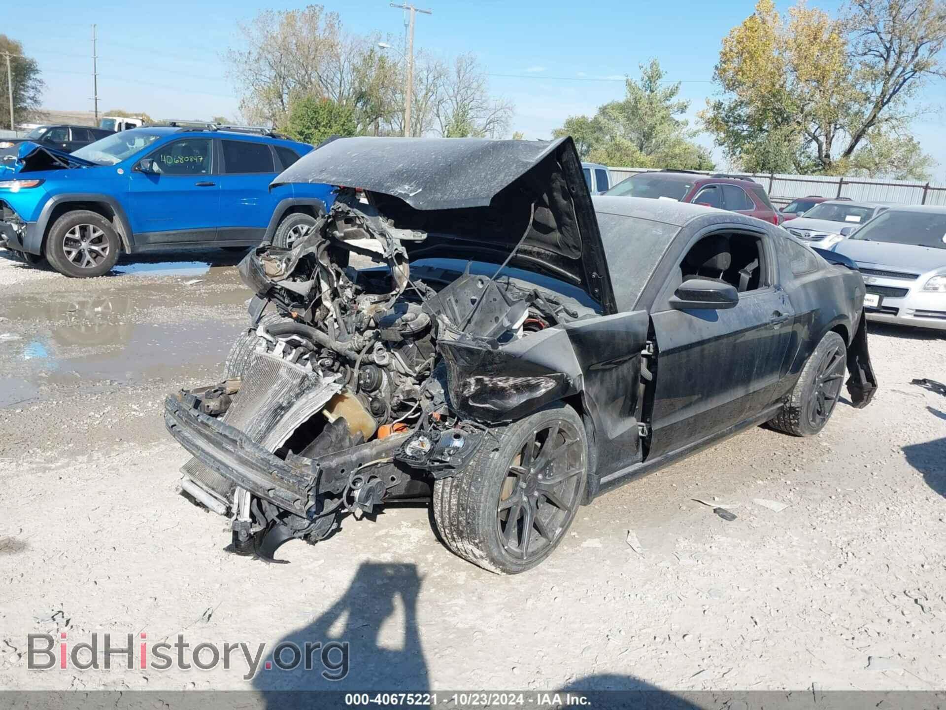 2013 FORD MUSTANG - VIN: 1ZVBP8AM6D5226571 - Фото 2