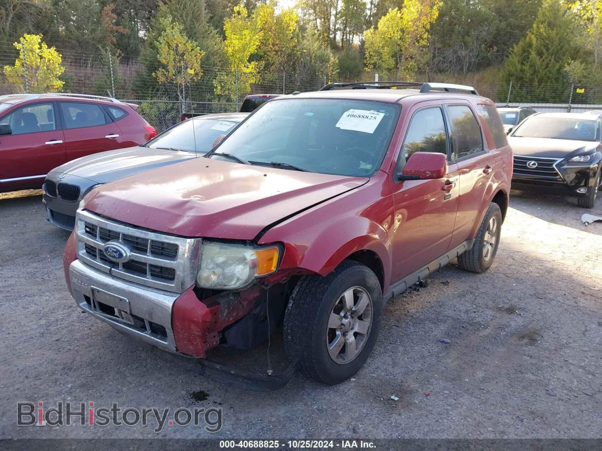 2011 FORD ESCAPE - VIN: 1FMCU9EG4BKA50916 - Фото 2