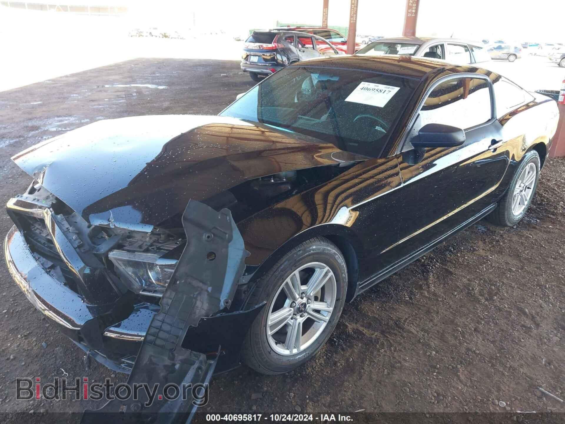2013 FORD MUSTANG - VIN: 1ZVBP8AM1D5219477 - Фото 2