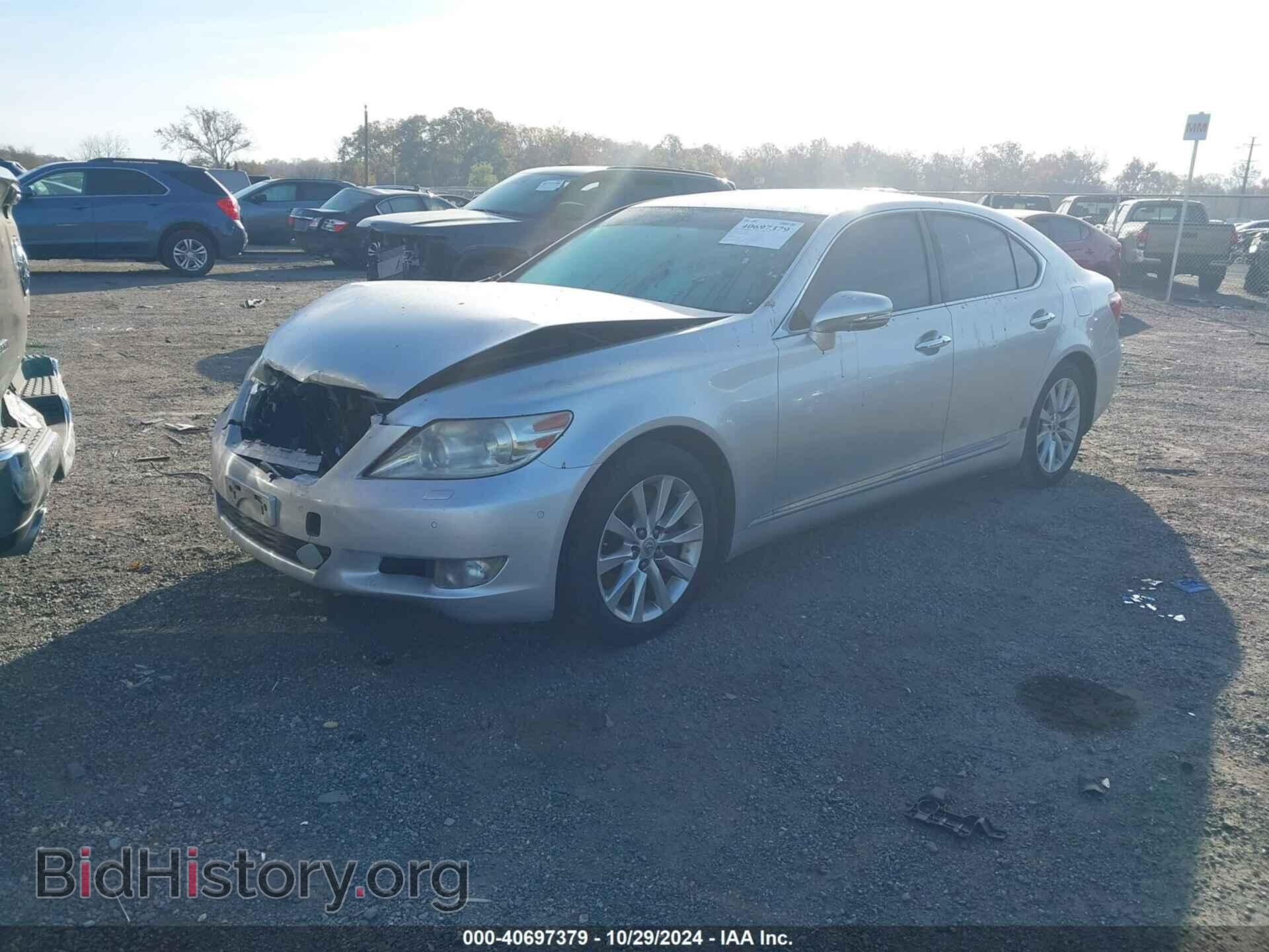 2010 LEXUS LS 460 - VIN: JTHCL5EFXA5006003 - Фото 2