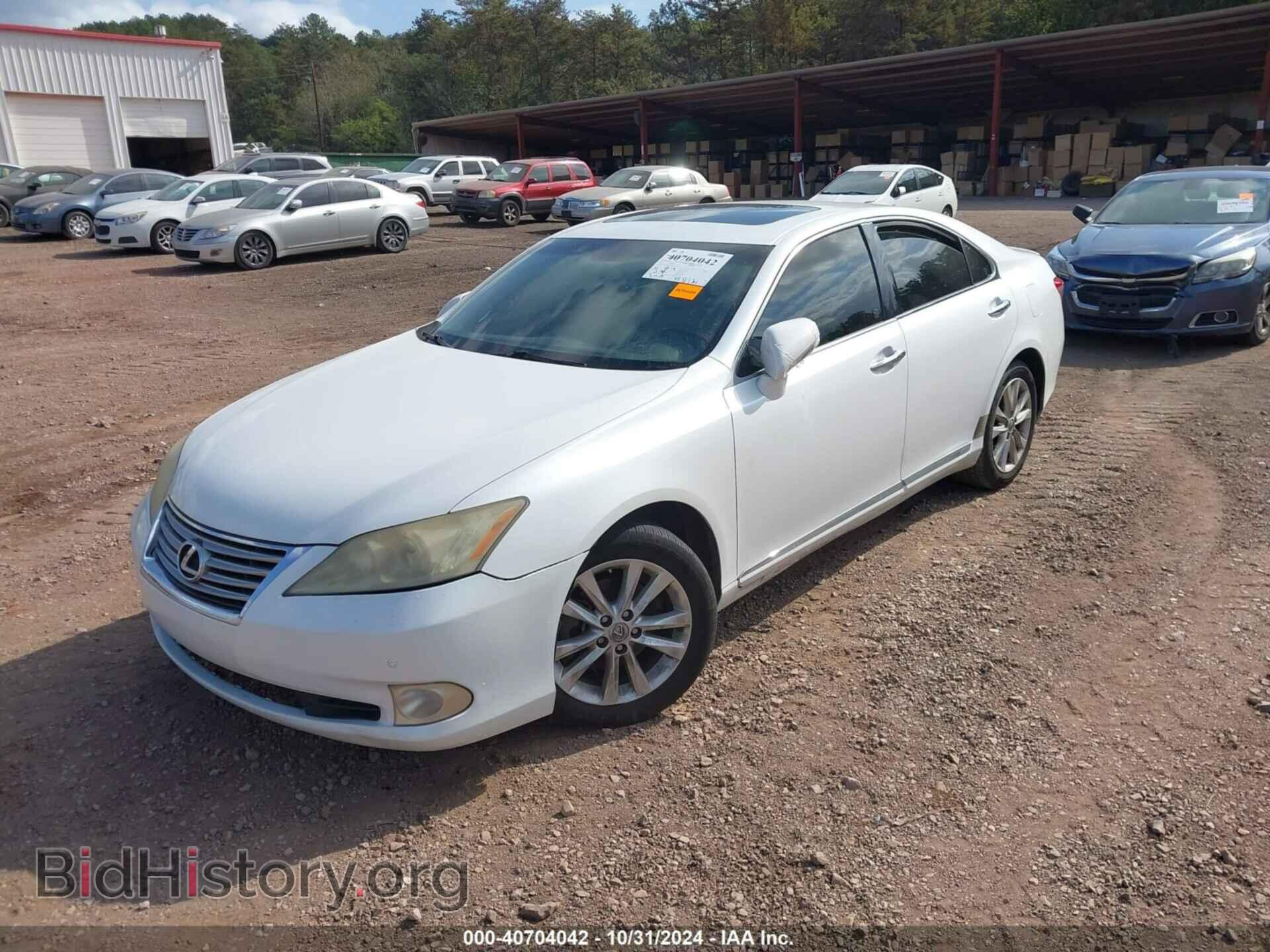 2010 LEXUS ES 350 - VIN: JTHBK1EG8A2384743 - Фото 2