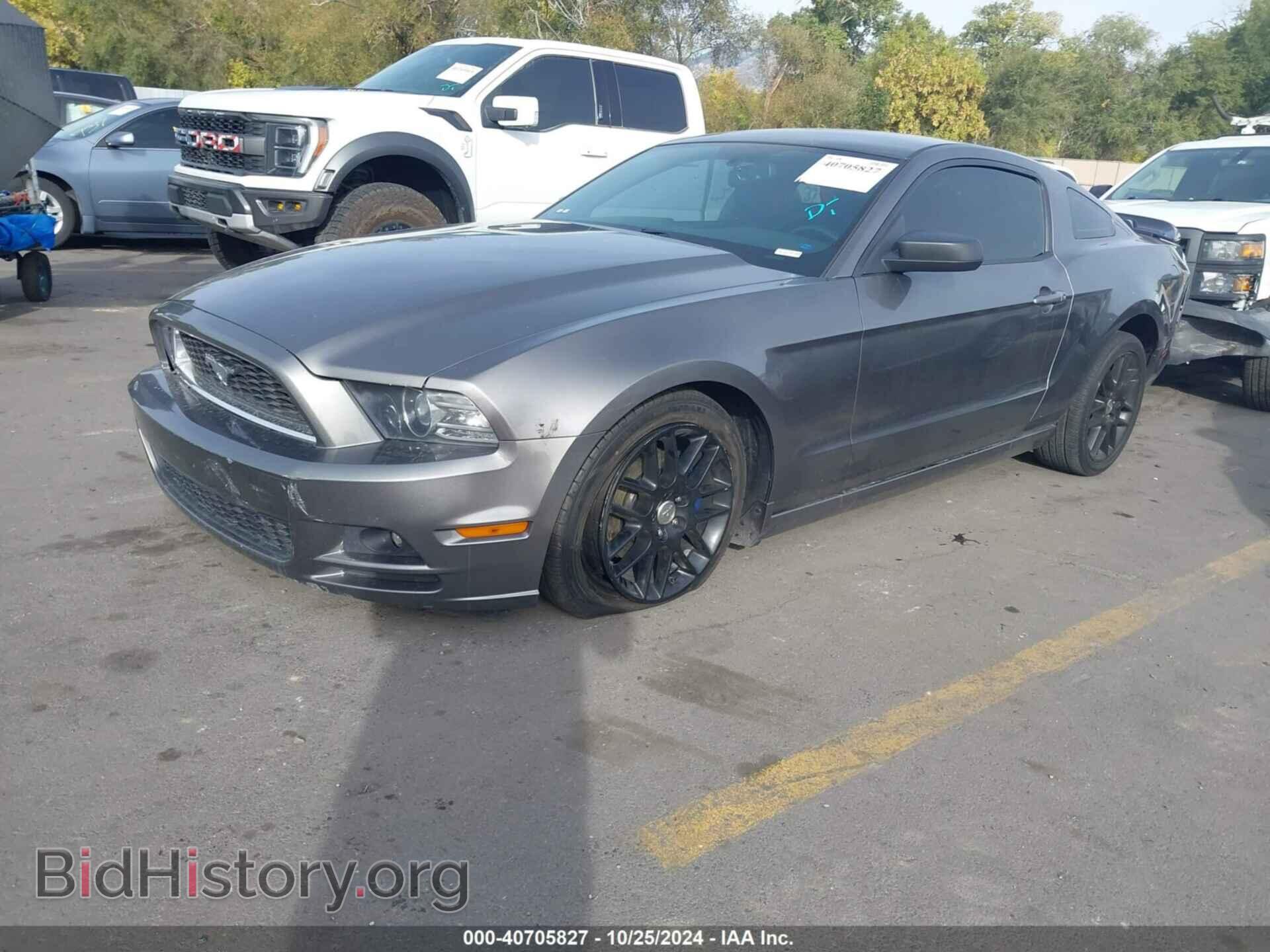 2014 FORD MUSTANG - VIN: 1ZVBP8AMXE5269554 - Фото 2