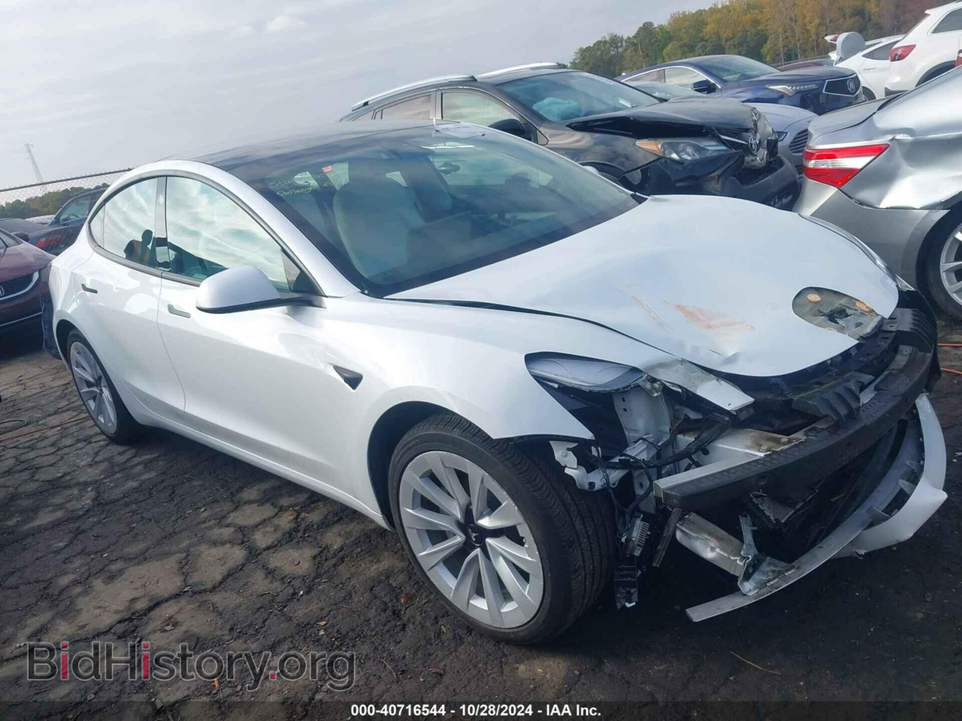 Photo 5YJ3E1EB6MF061231 - TESLA MODEL 3 2021