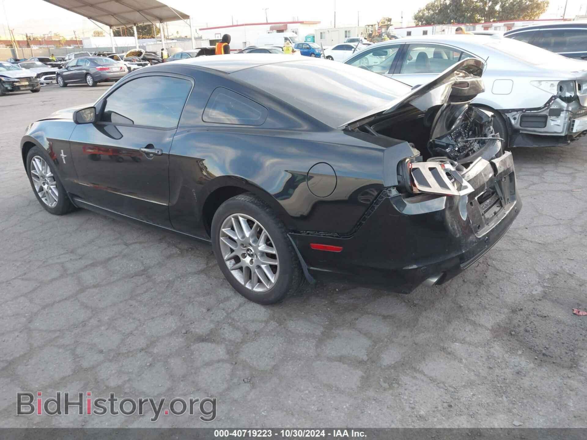 2013 FORD MUSTANG - VIN: 1ZVBP8AM1D5262491 - Фото 3