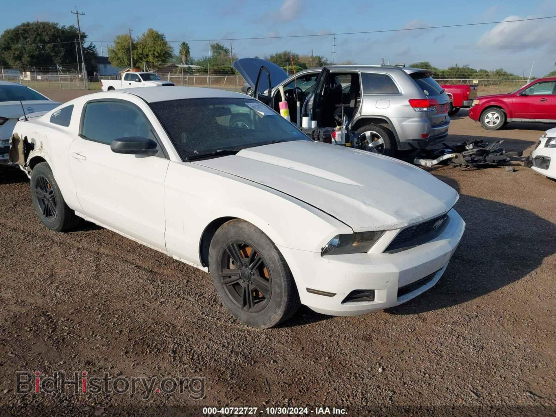 Фотография 1ZVBP8AM3C5208463 - FORD MUSTANG 2012
