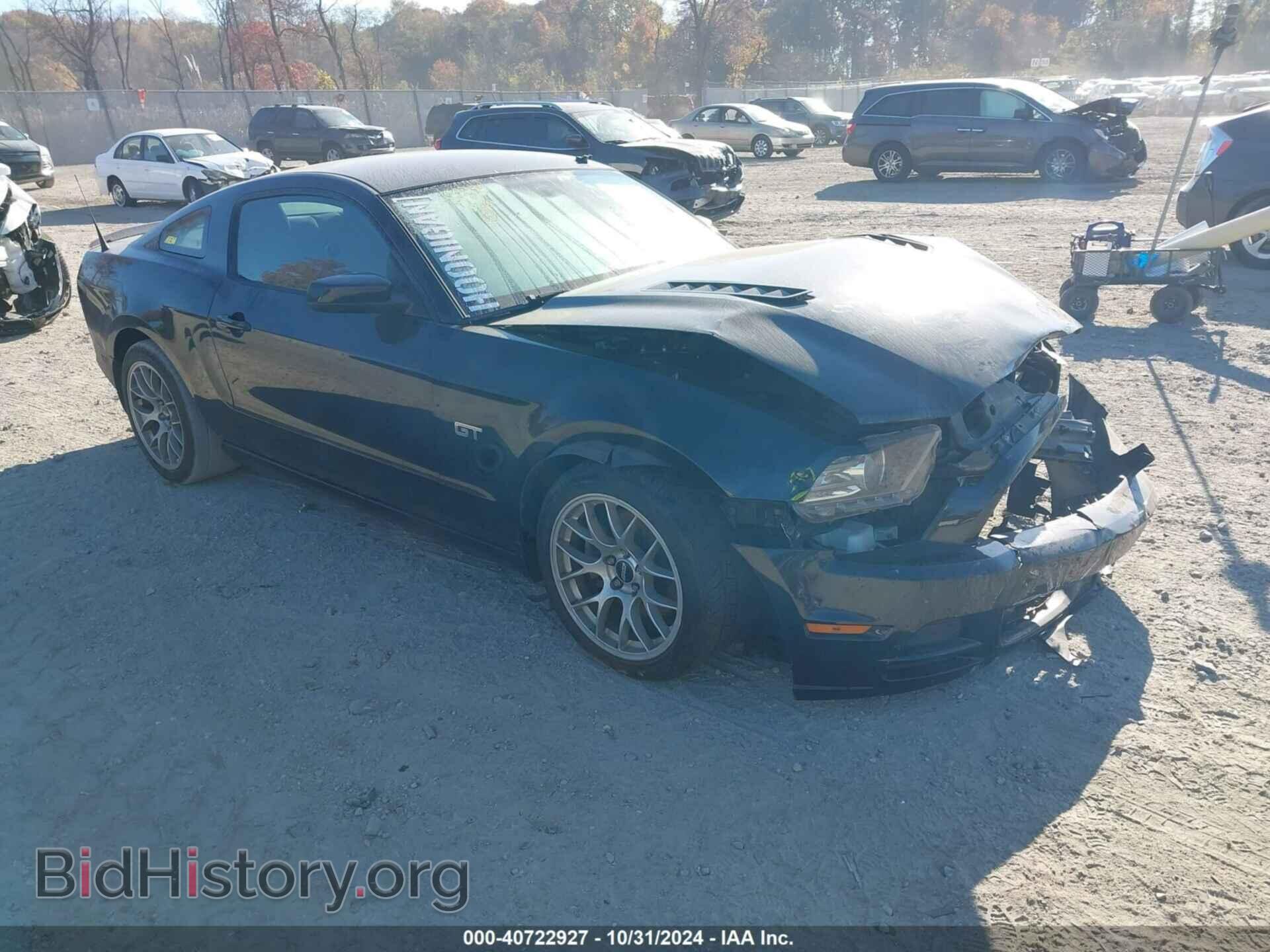 Фотография 1ZVBP8CF8E5324114 - FORD MUSTANG 2014