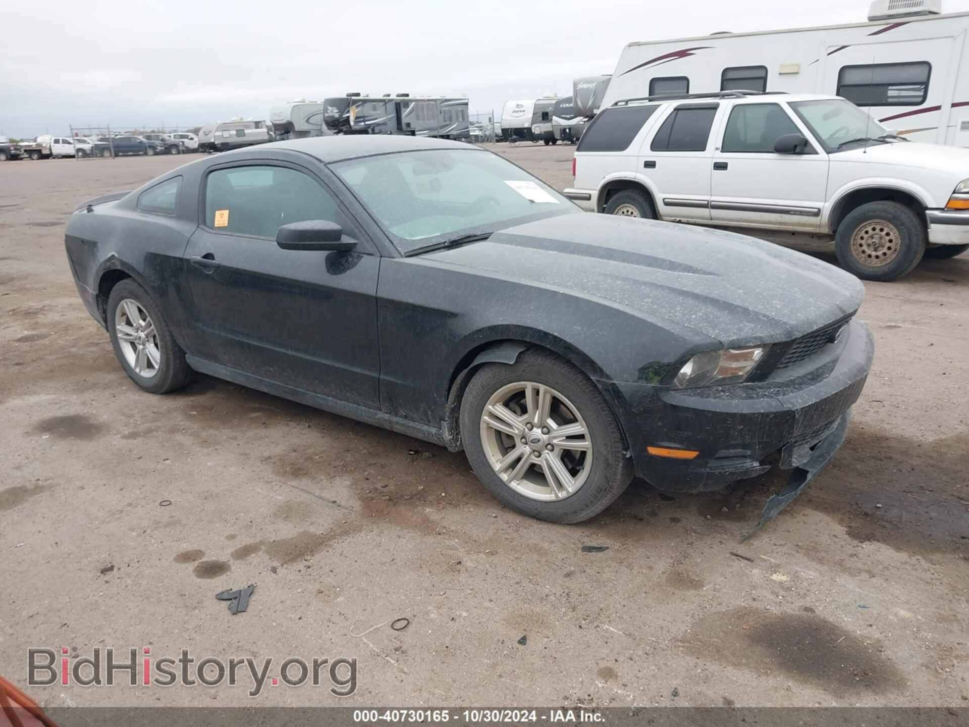 Фотография 1ZVBP8AM6C5275980 - FORD MUSTANG 2012