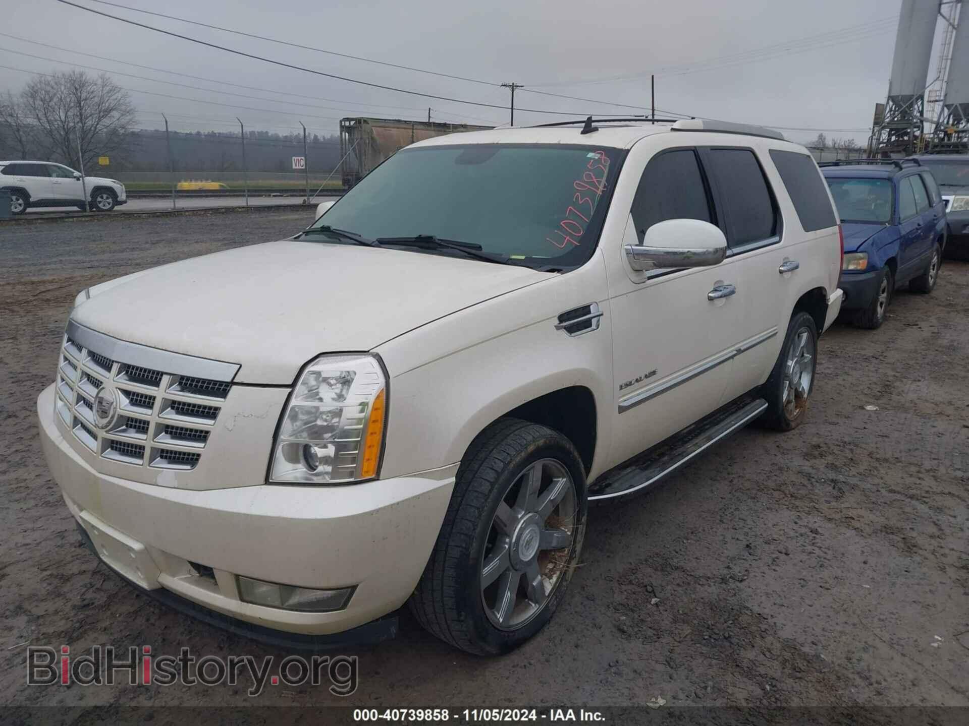 2010 CADILLAC ESCALADE - VIN: 1GYUKAEF0AR254734 - Фото 2