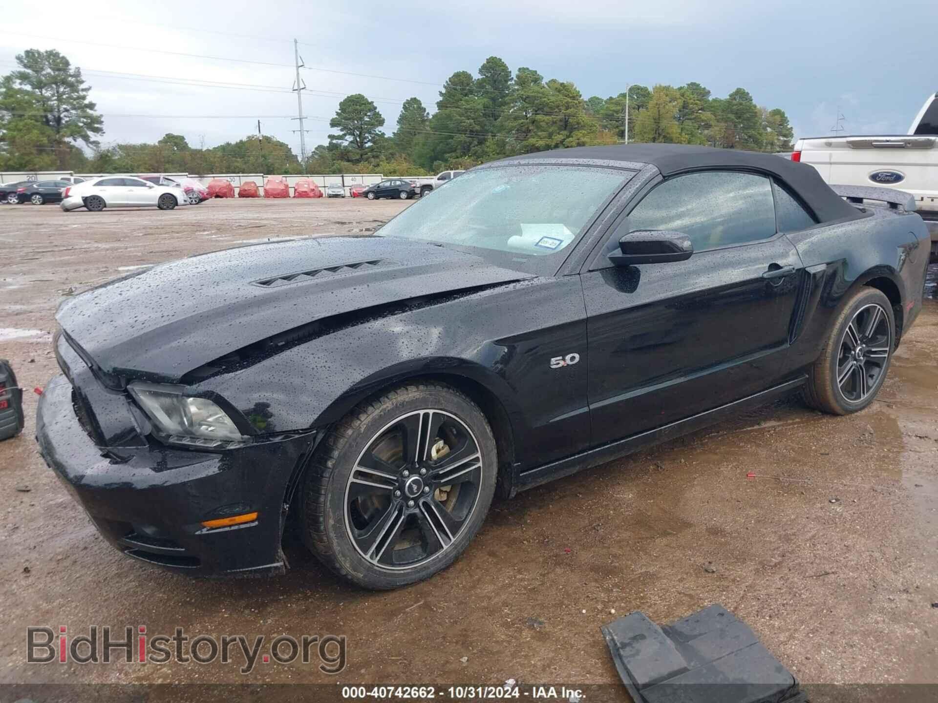 2013 FORD MUSTANG - VIN: 1ZVBP8FF5D5209268 - Фото 2