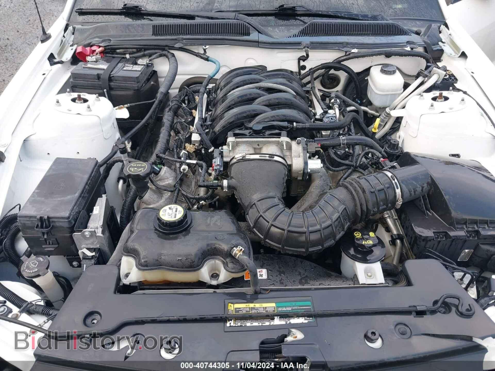 2008 FORD MUSTANG - VIN: 1ZVHT82H685166319 - Фото 10