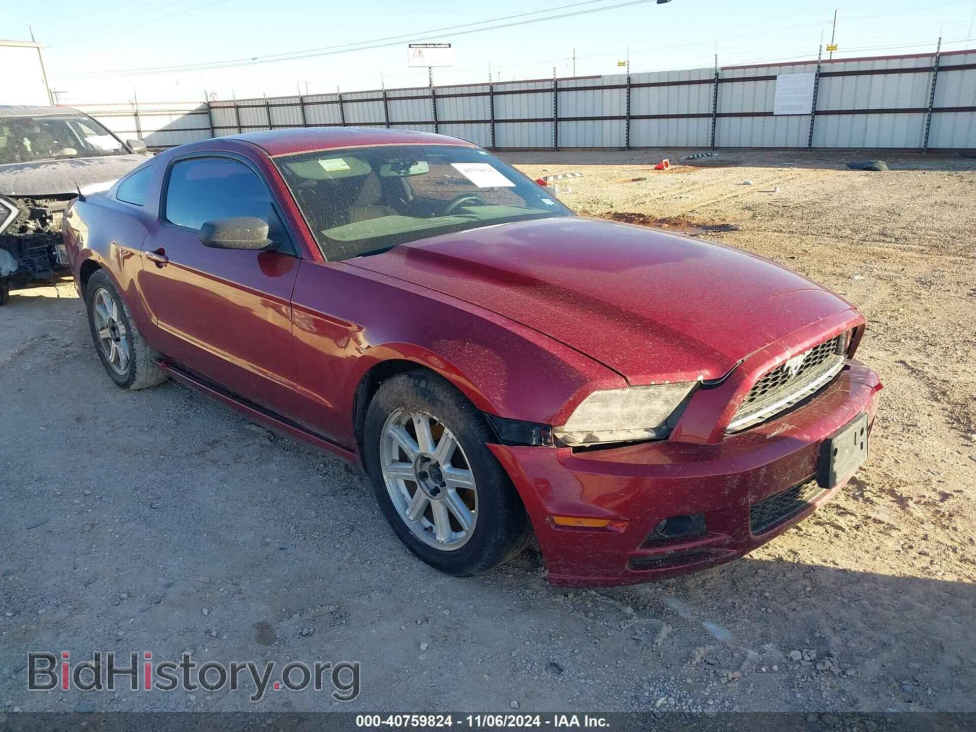 Фотография 1ZVBP8AM3E5284414 - FORD MUSTANG 2014