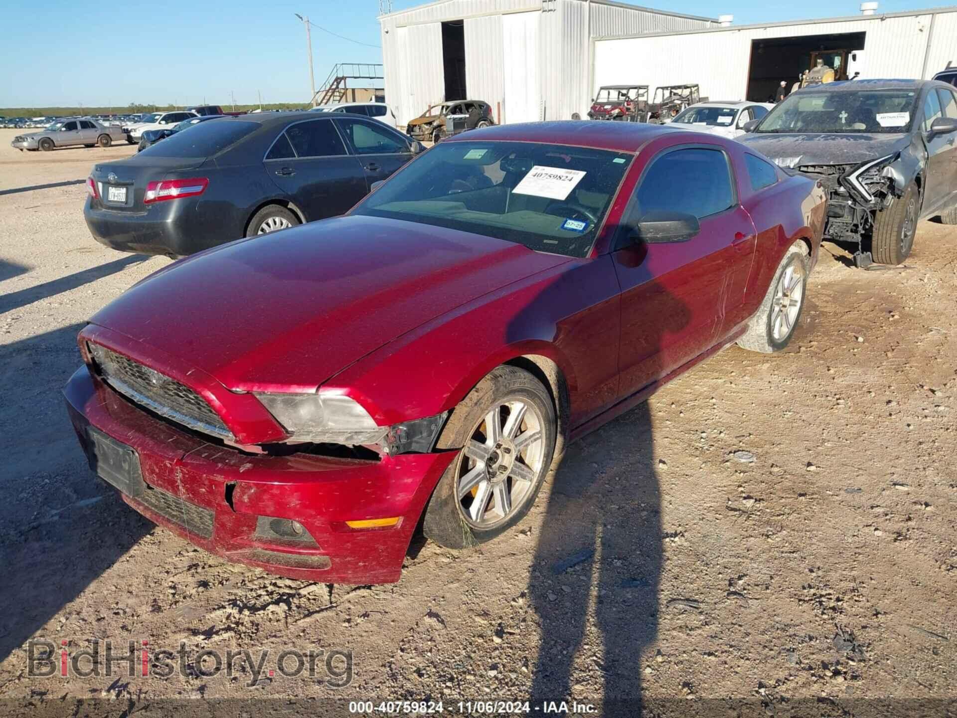 2014 FORD MUSTANG - VIN: 1ZVBP8AM3E5284414 - Фото 2