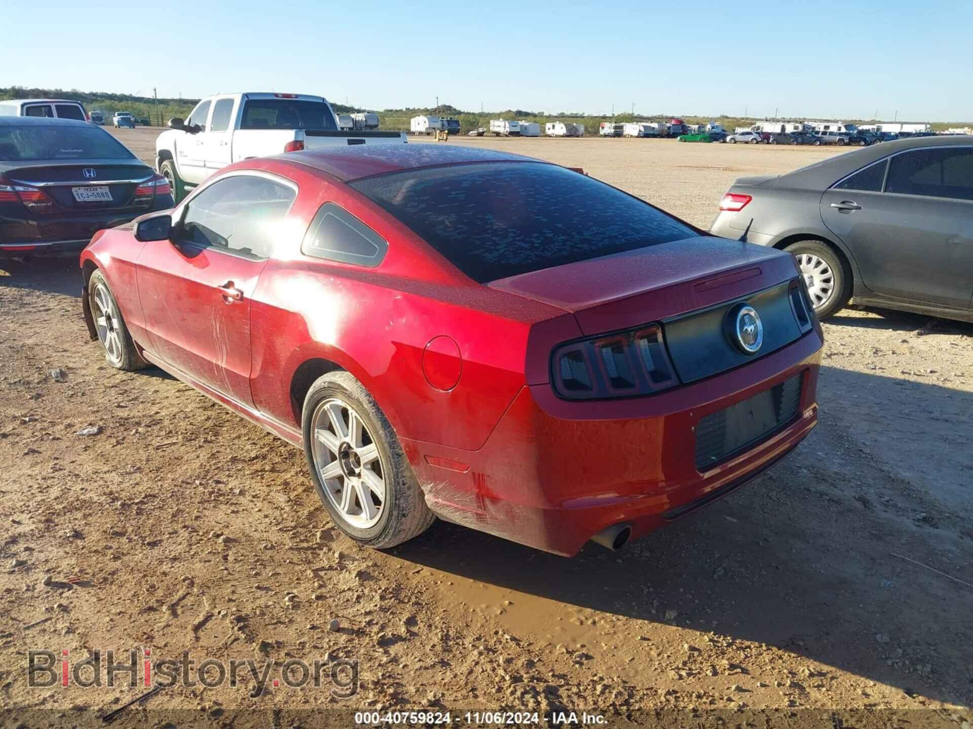 2014 FORD MUSTANG - VIN: 1ZVBP8AM3E5284414 - Фото 3