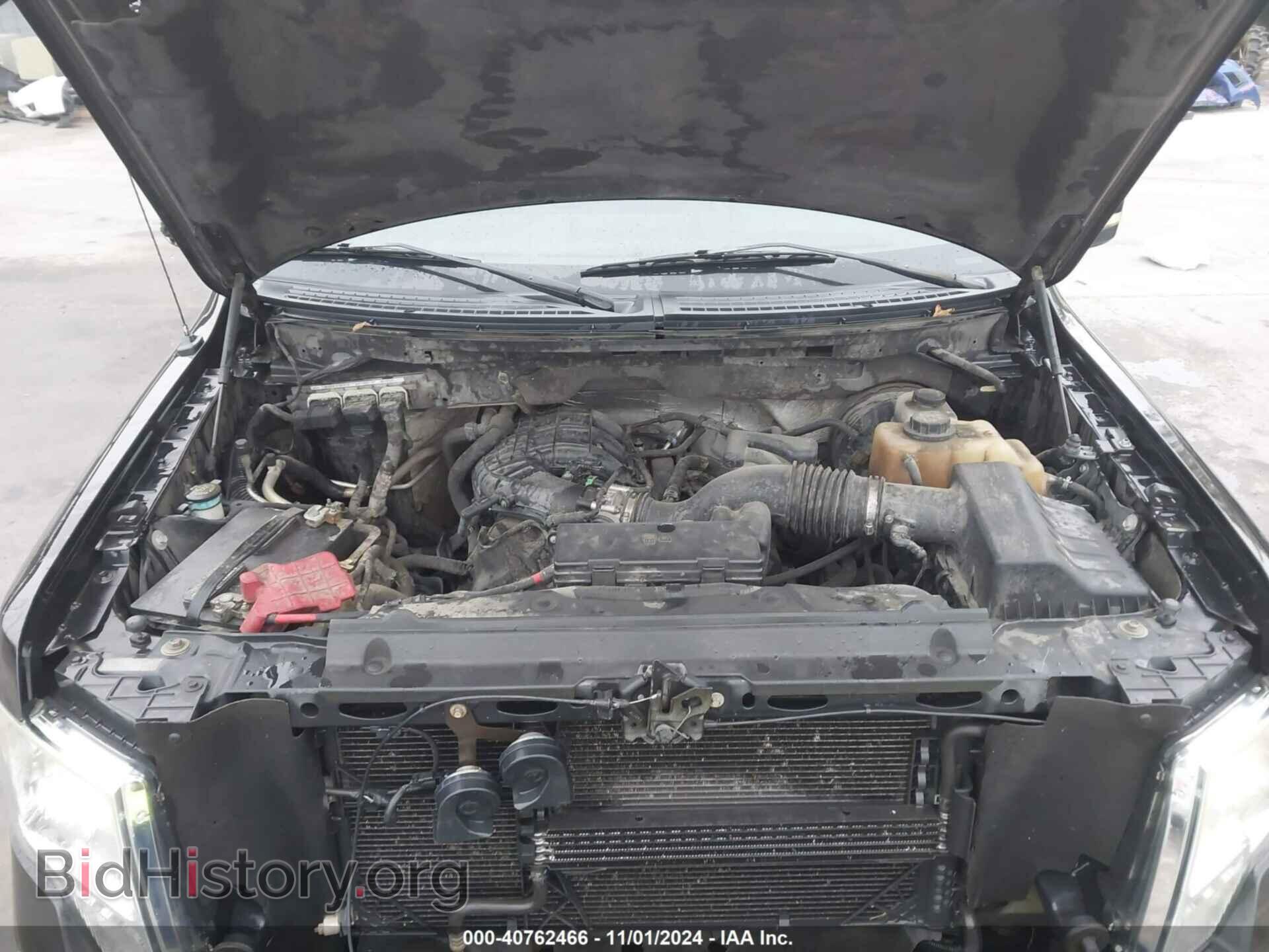 2011 FORD F-150 - VIN: 1FTEW1CM3BFB22909 - Photo 10