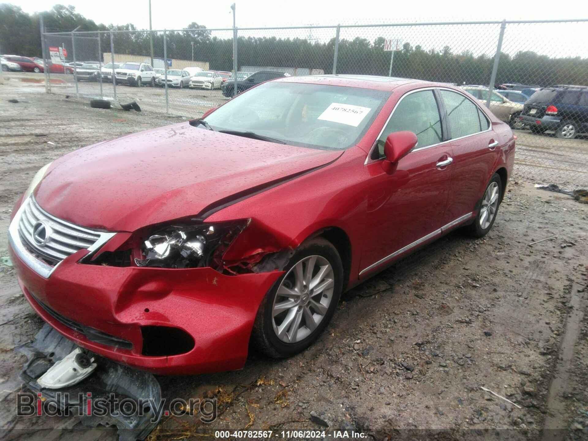 2010 LEXUS ES 350 - VIN: JTHBK1EG0A2387636 - Фото 2