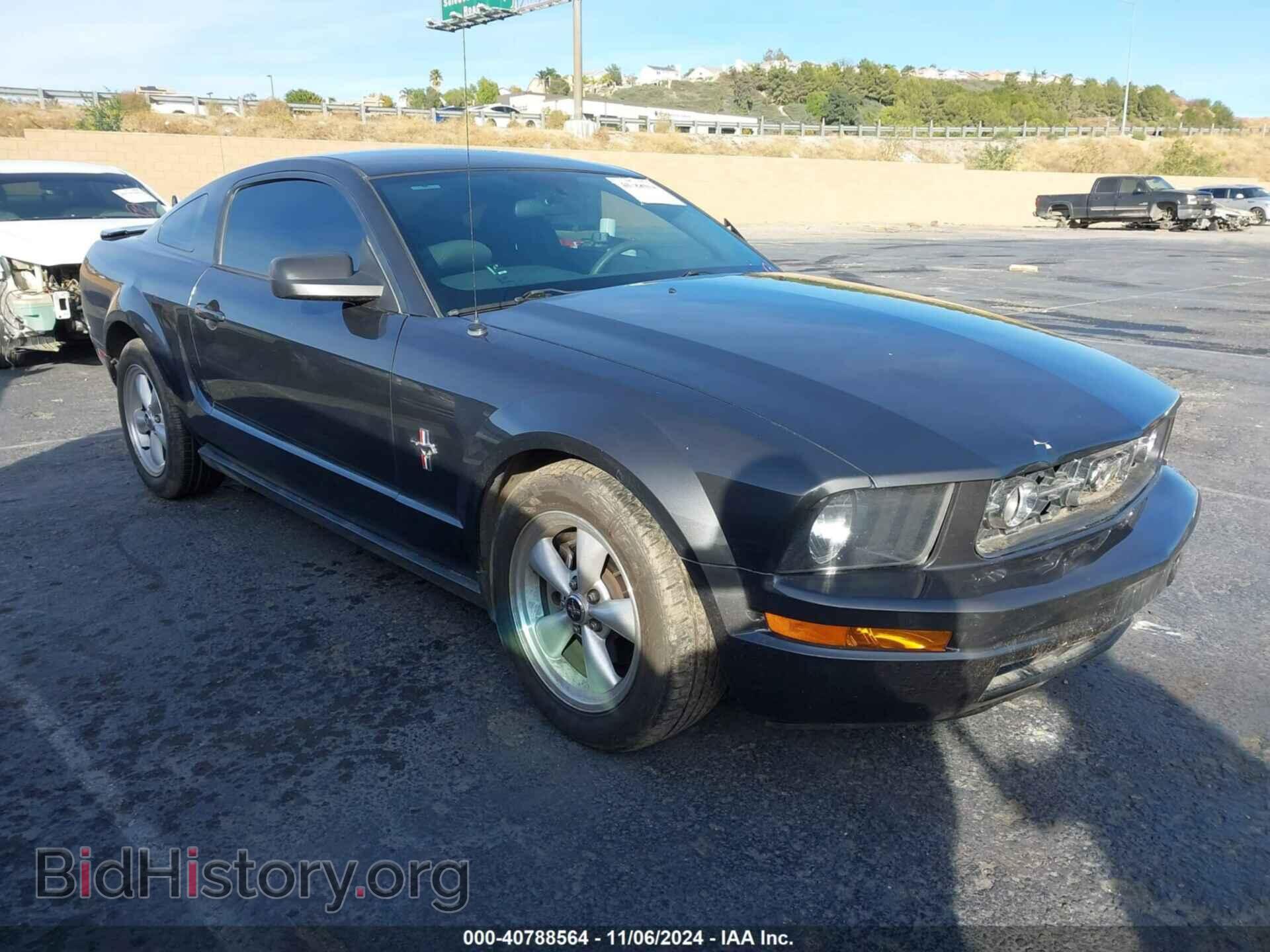 Photo 1ZVHT80NX85163528 - FORD MUSTANG 2008