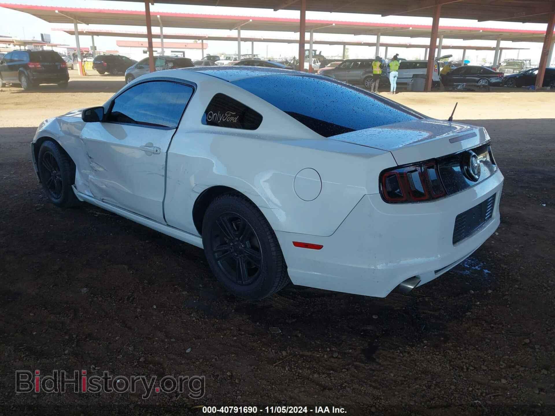 2014 FORD MUSTANG - VIN: 1ZVBP8AM8E5306505 - Фото 3