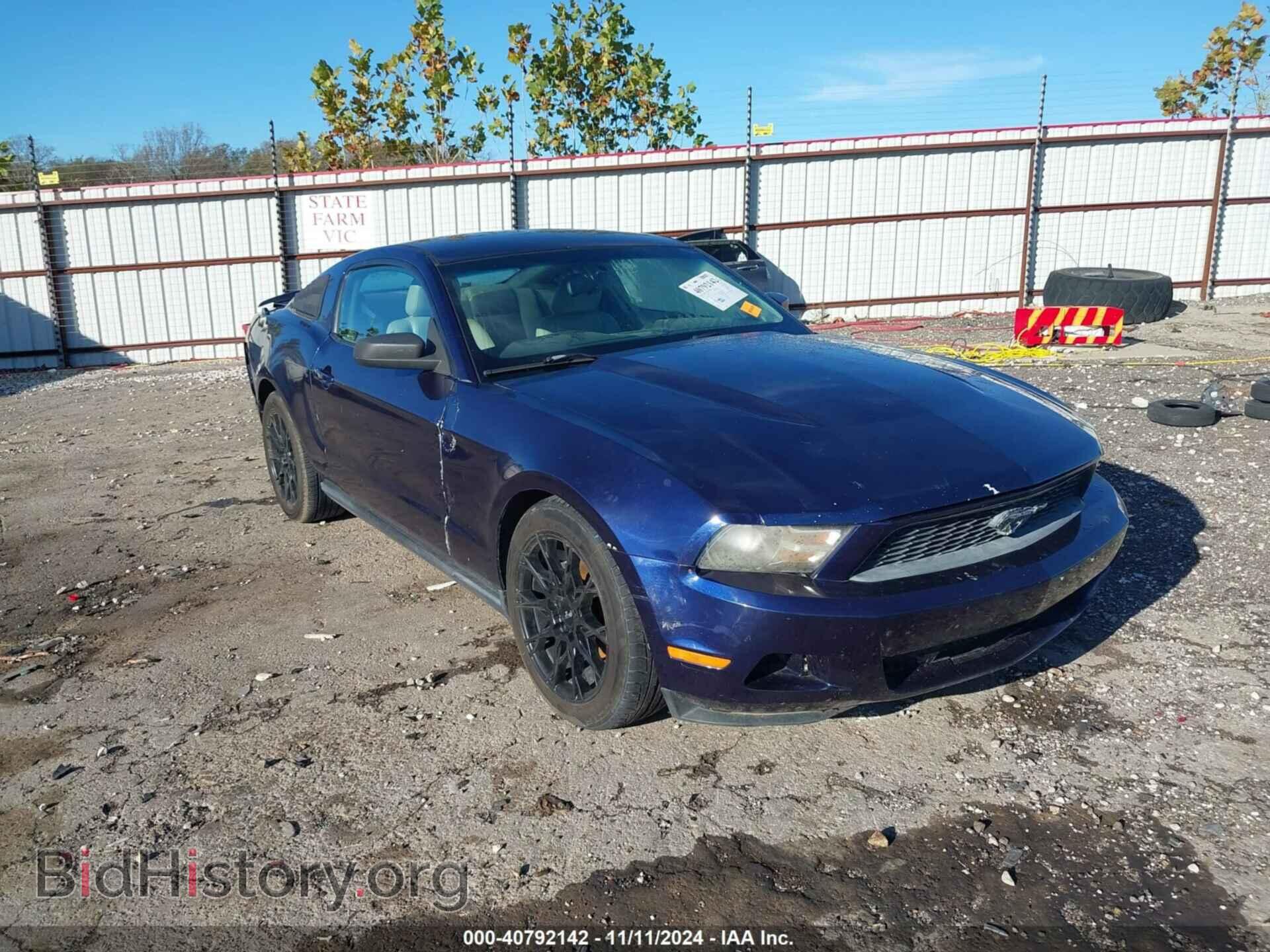 Фотография 1ZVBP8ANXA5140913 - FORD MUSTANG 2010