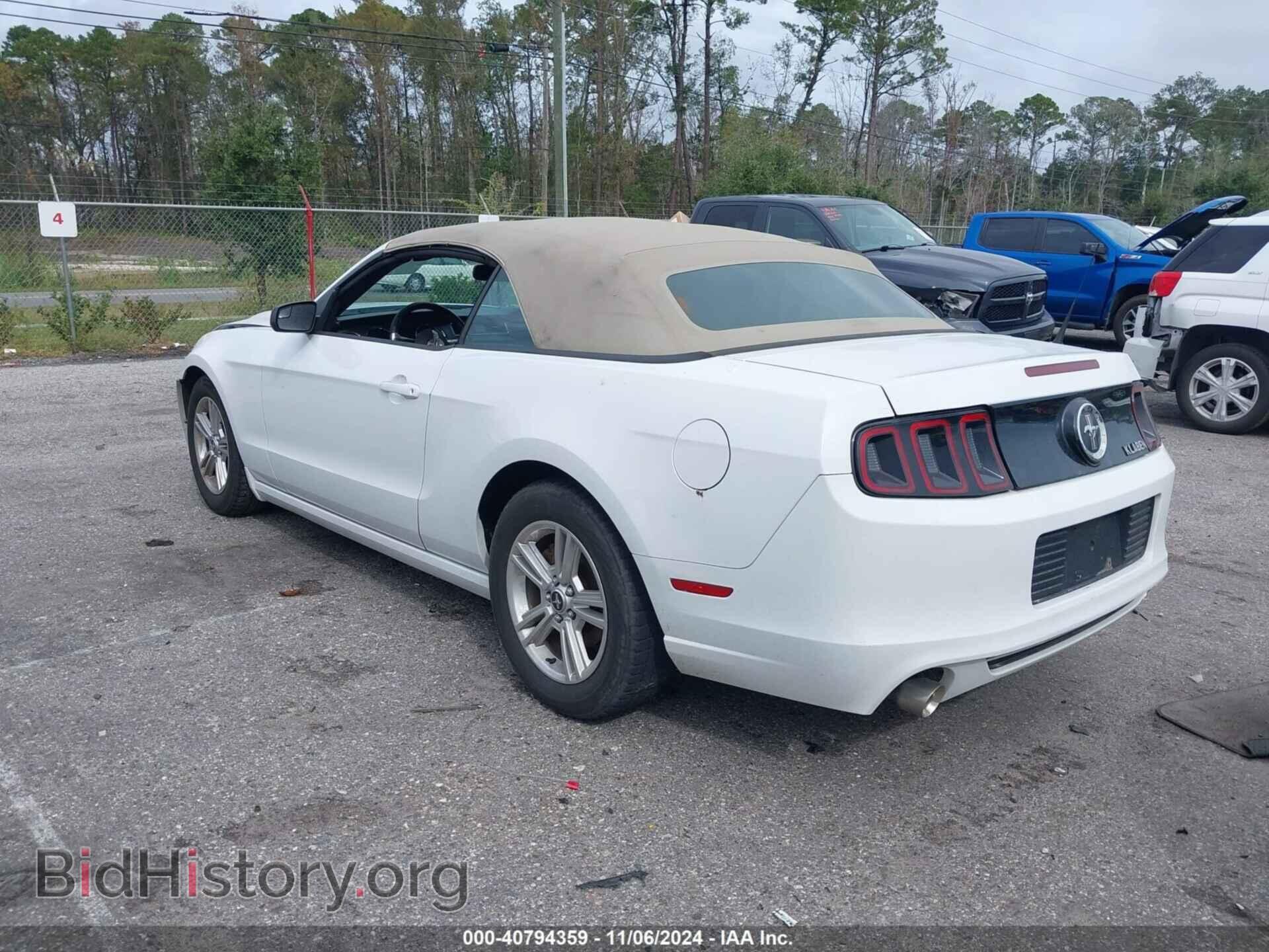 2014 FORD MUSTANG - VIN: 1ZVBP8EM5E5322865 - Фото 3