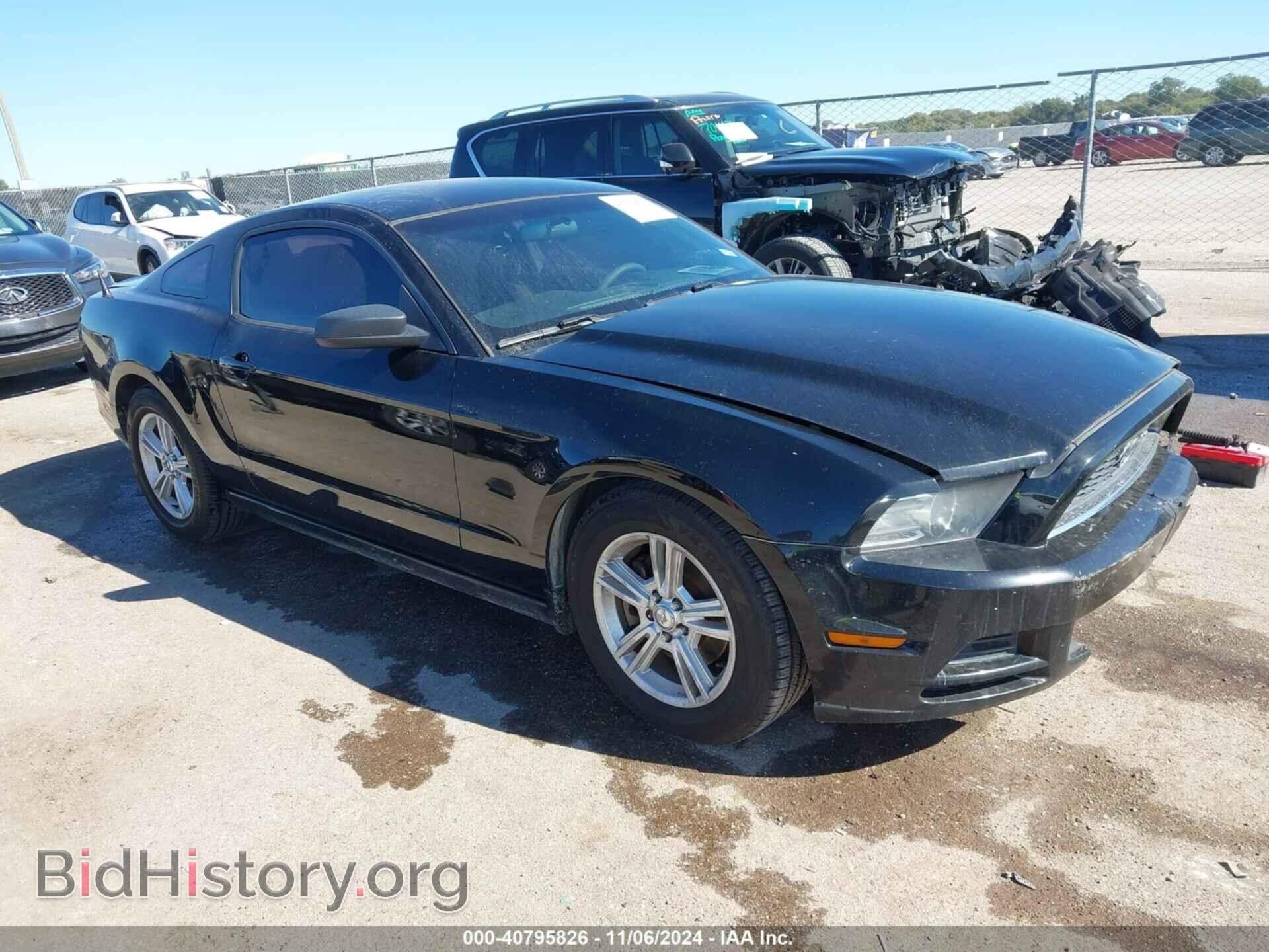 Фотография 1ZVBP8AM4E5249784 - FORD MUSTANG 2014