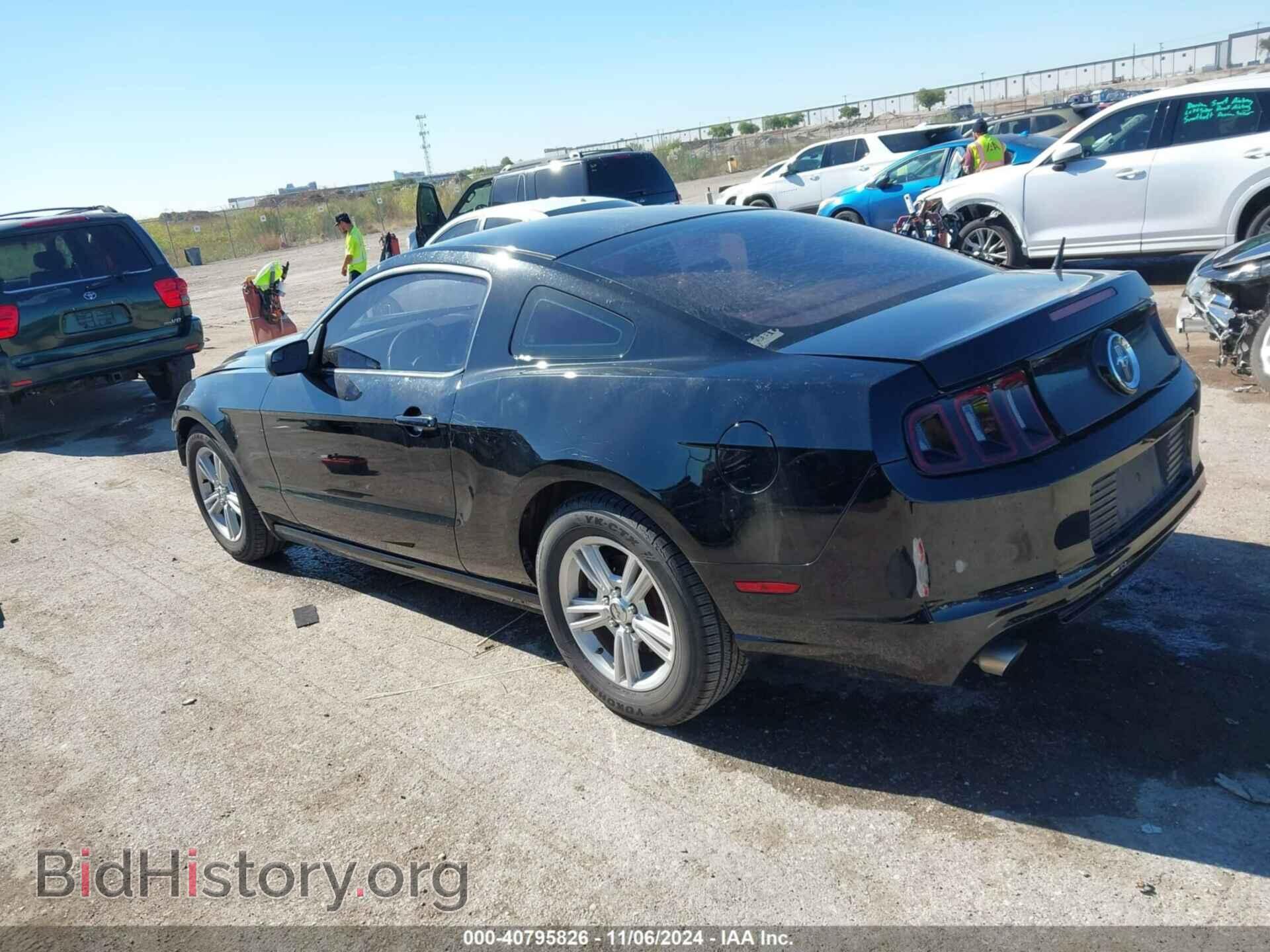 2014 FORD MUSTANG - VIN: 1ZVBP8AM4E5249784 - Фото 3