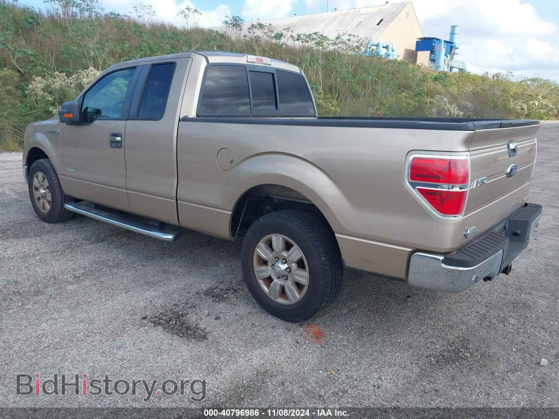 2011 FORD F-150 - VIN: 1FTFX1CT3BFB14611 - Фото 3
