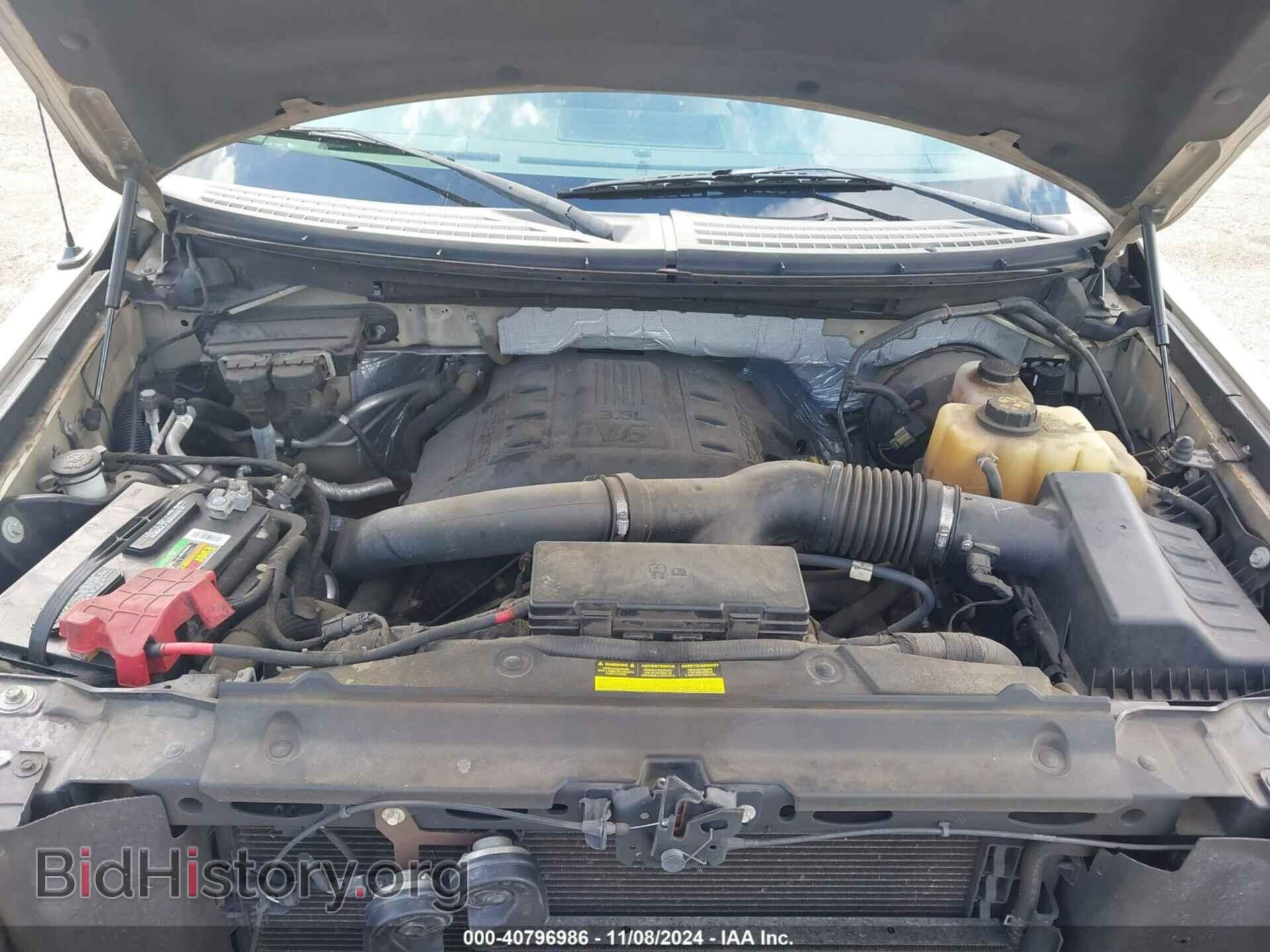 2011 FORD F-150 - VIN: 1FTFX1CT3BFB14611 - Фото 10