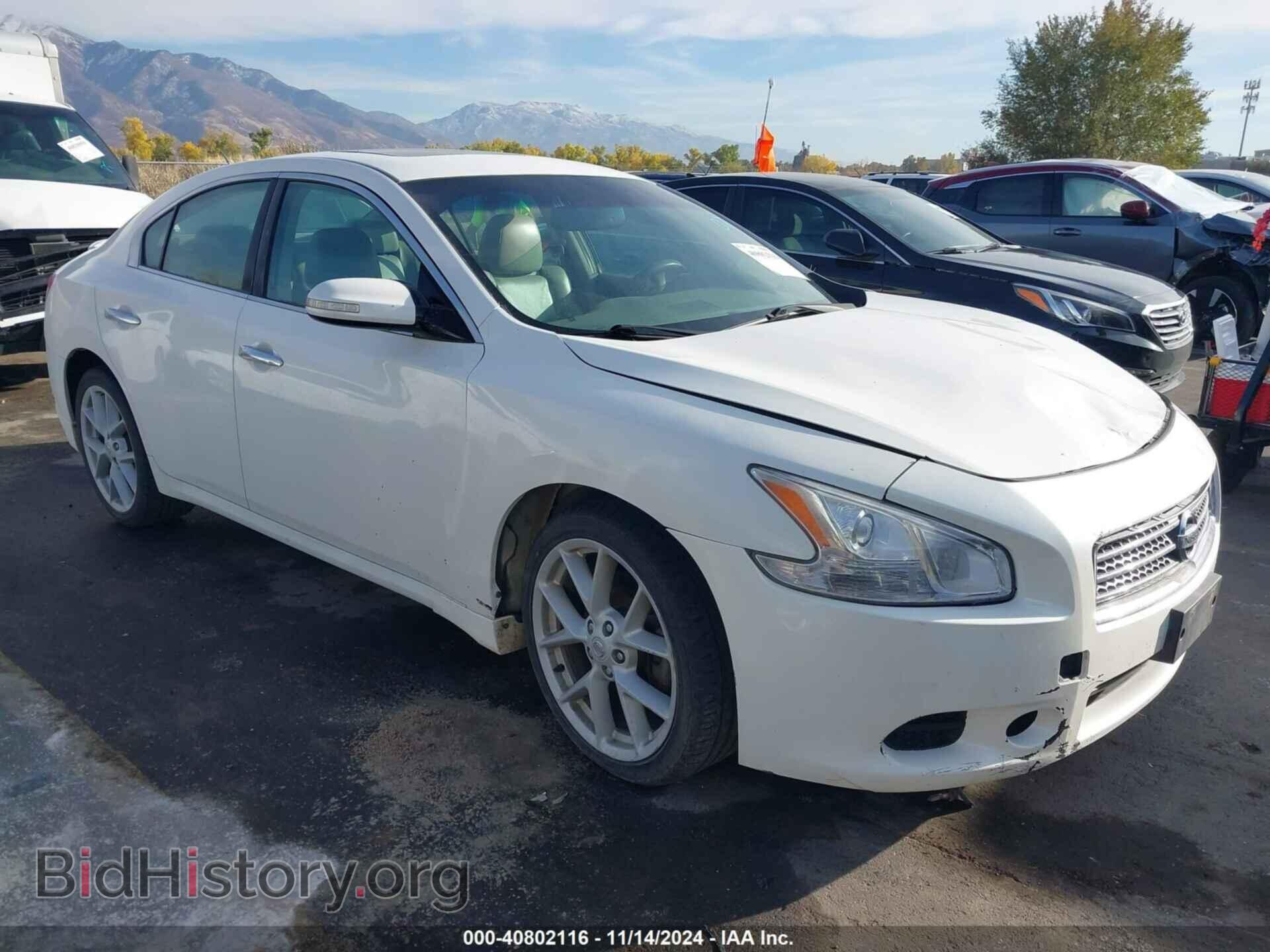 Photo 1N4AA51E69C802448 - NISSAN MAXIMA 2009