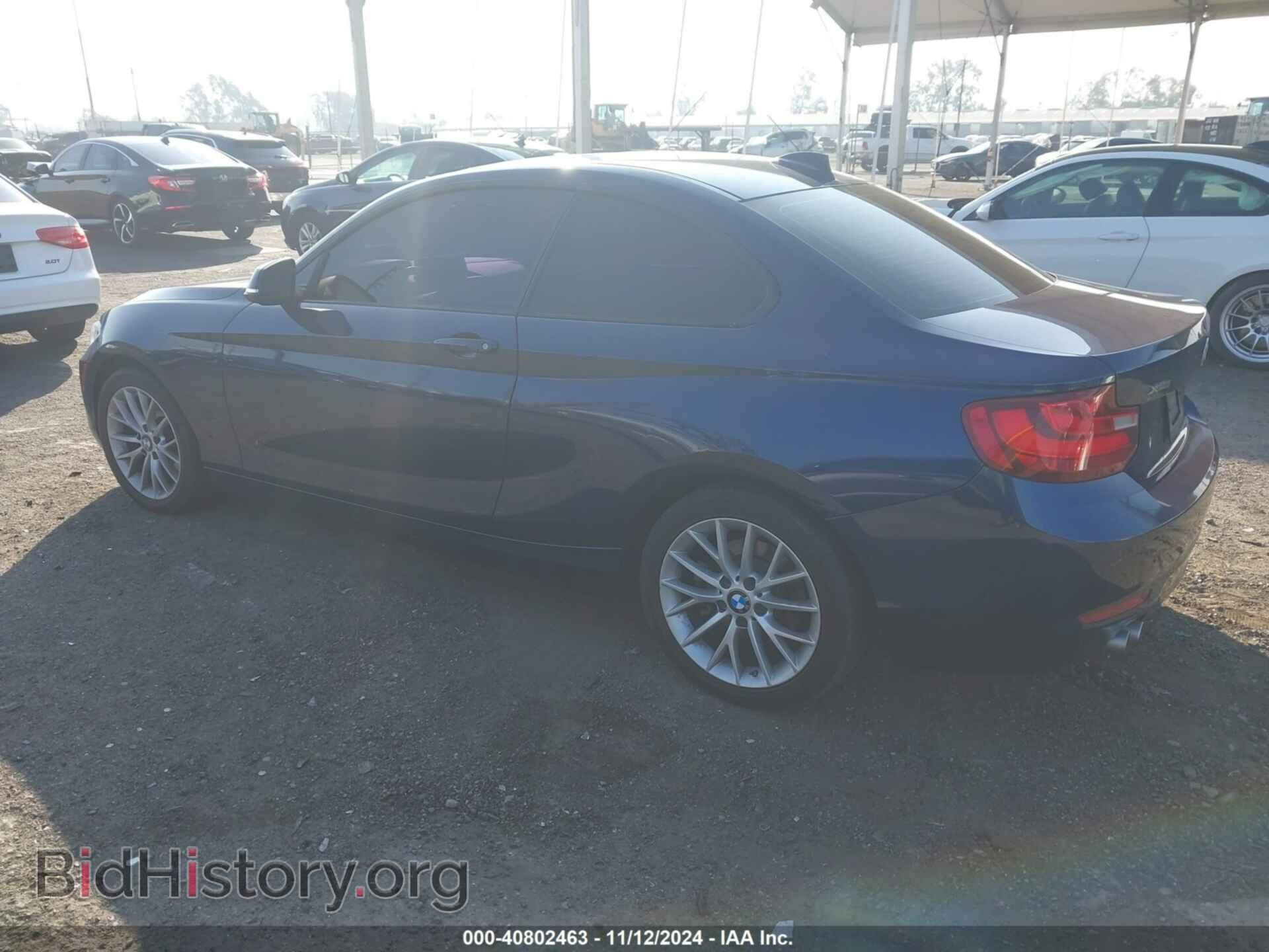 2015 BMW 228I - VIN: WBA1F7C5XFV367287 - Фото 3