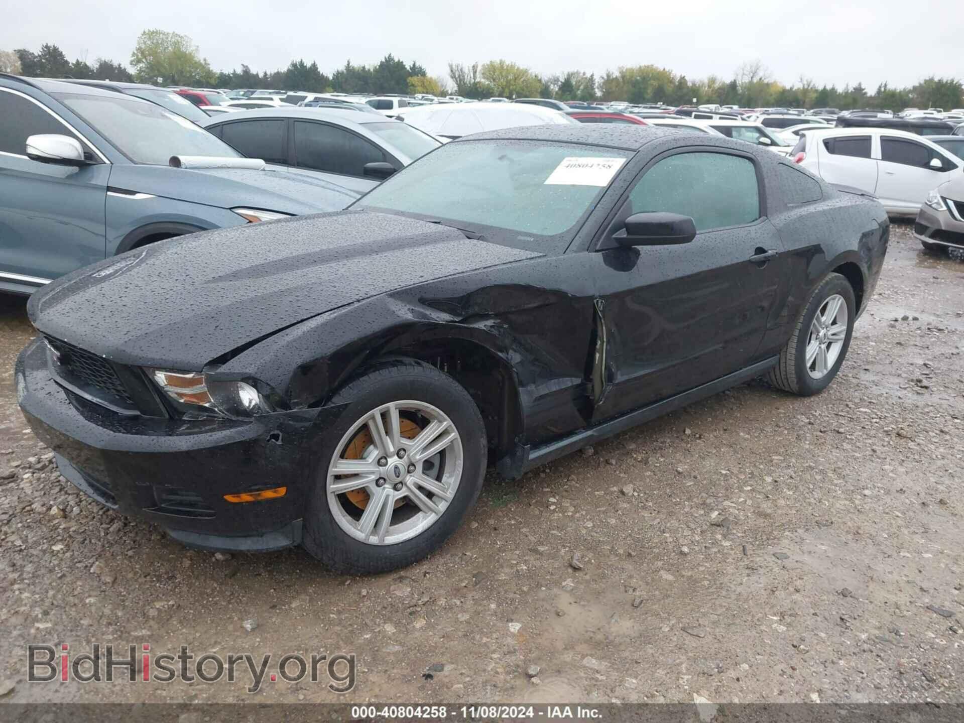 2012 FORD MUSTANG - VIN: 1ZVBP8AM7C5276054 - Фото 2