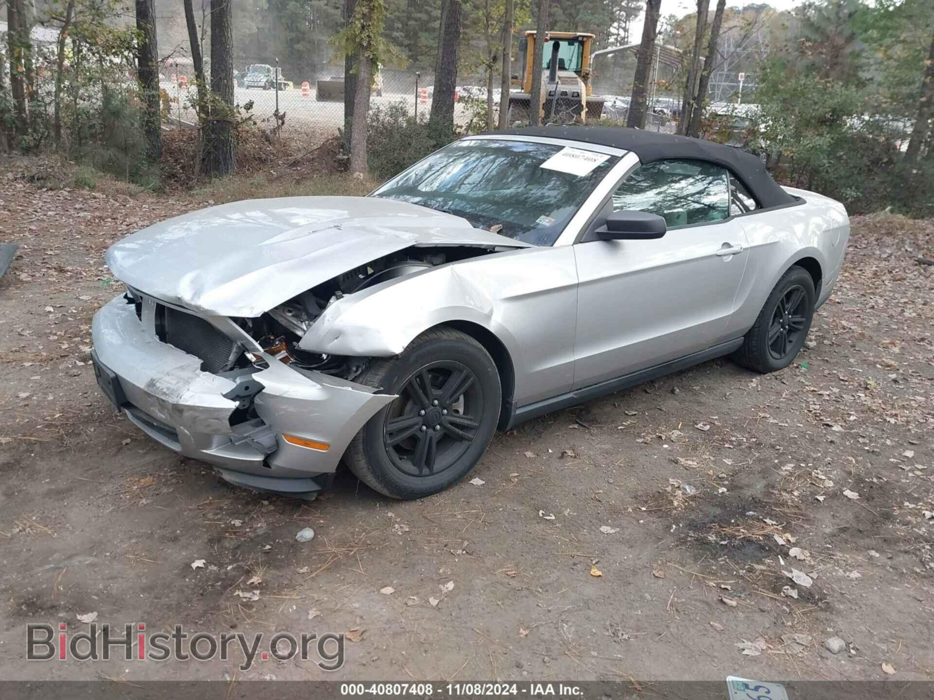 2011 FORD MUSTANG - VIN: 1ZVBP8EM7B5129127 - Фото 2