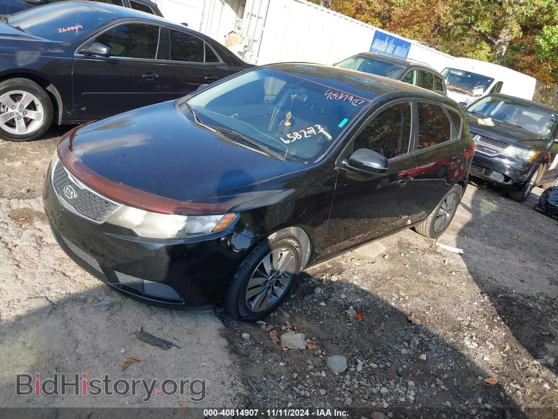 2013 KIA FORTE - VIN: KNAFU5A20D5658273 - Фото 2