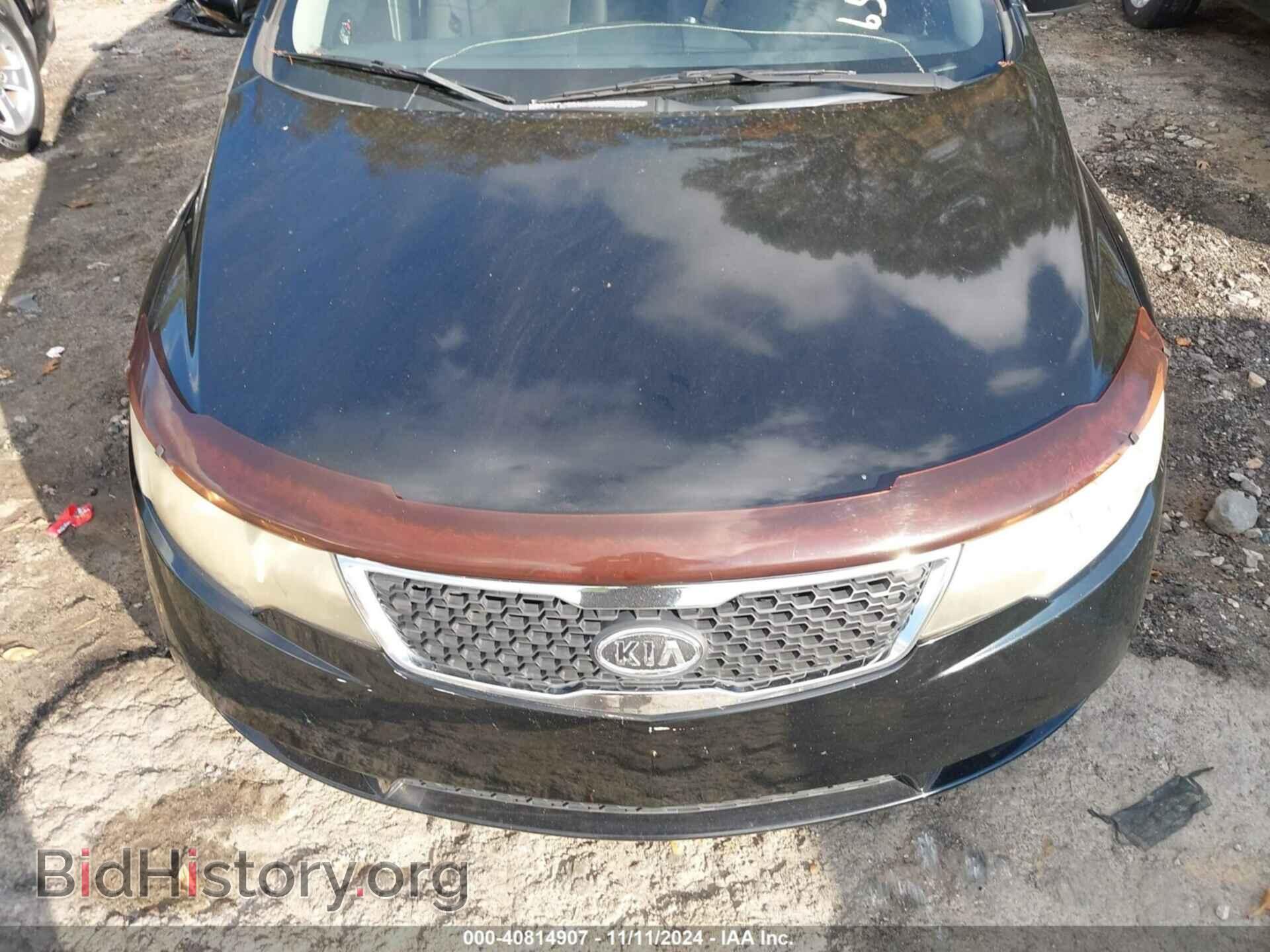 2013 KIA FORTE - VIN: KNAFU5A20D5658273 - Фото 6