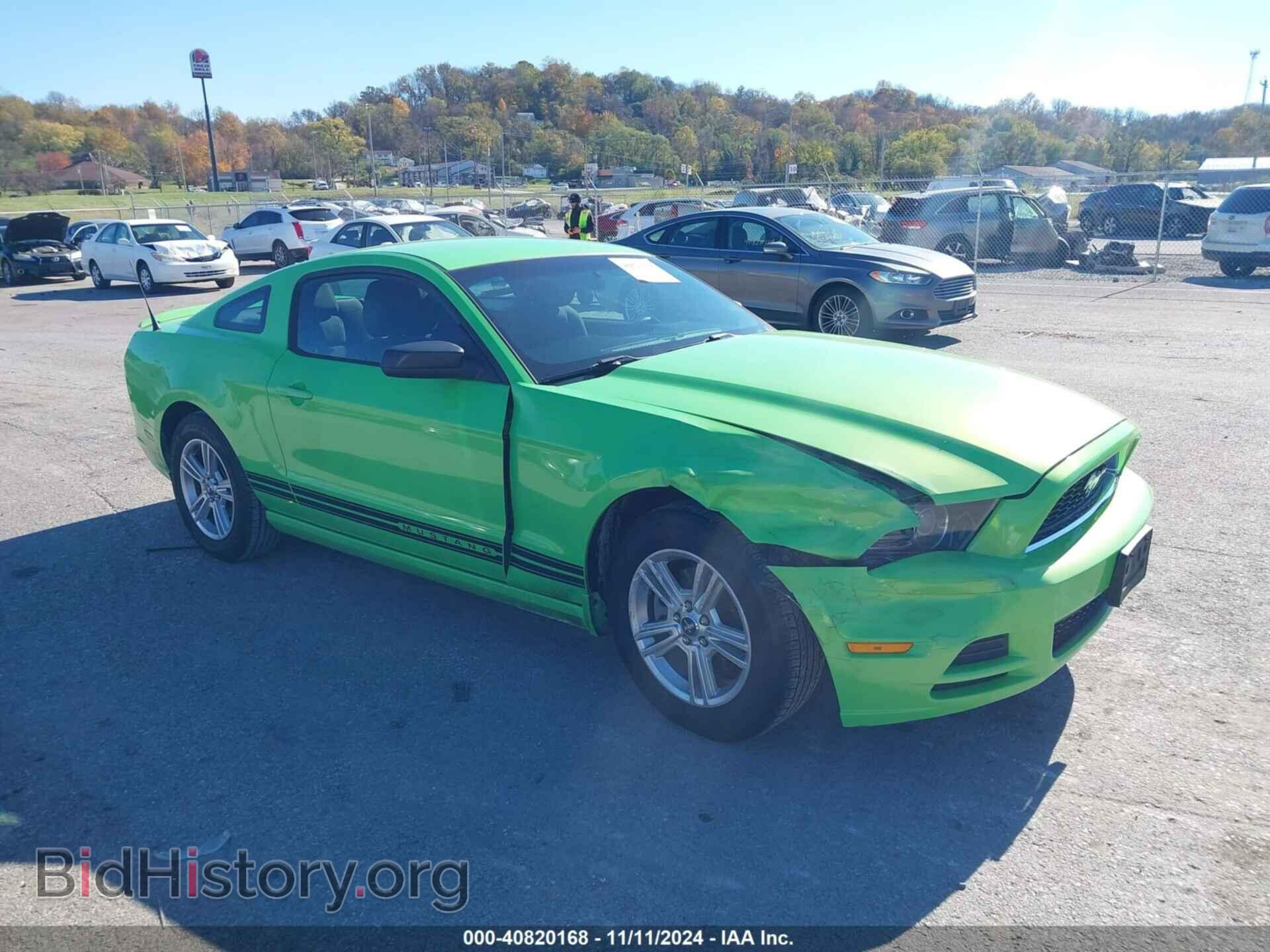 Фотография 1ZVBP8AM9D5221266 - FORD MUSTANG 2013